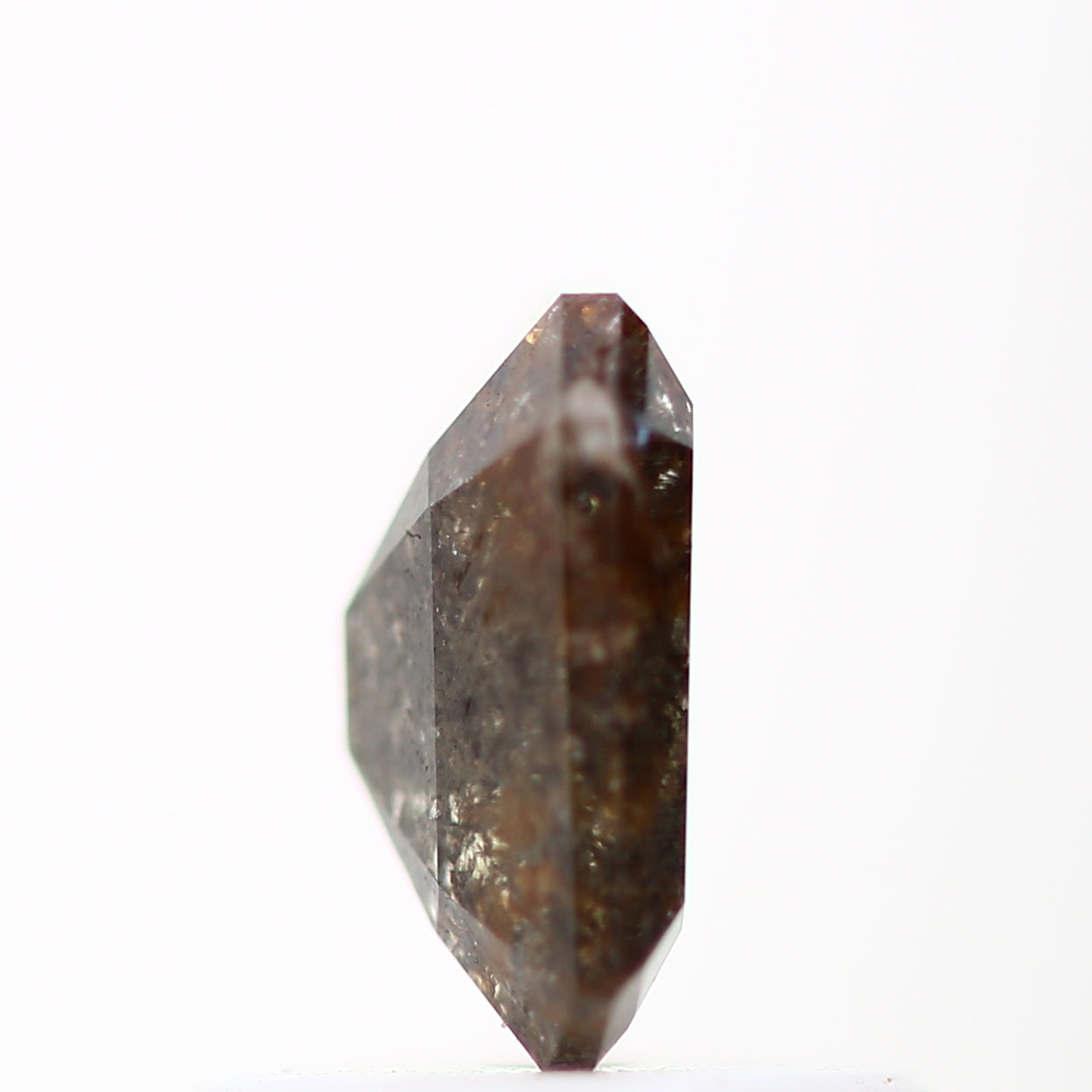 ClariOLED Transparent OLED Display price