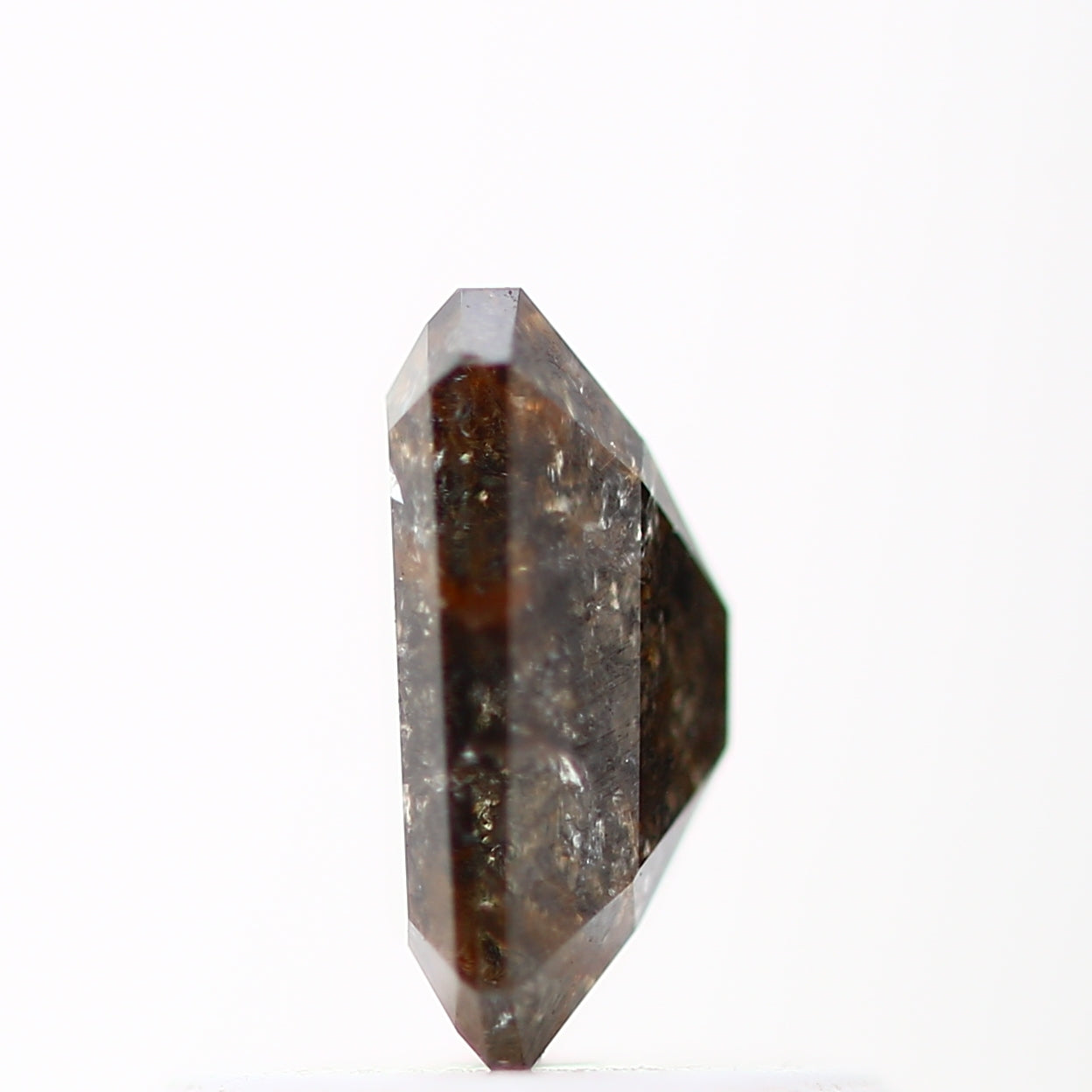 ClariOLED Transparent OLED Display price