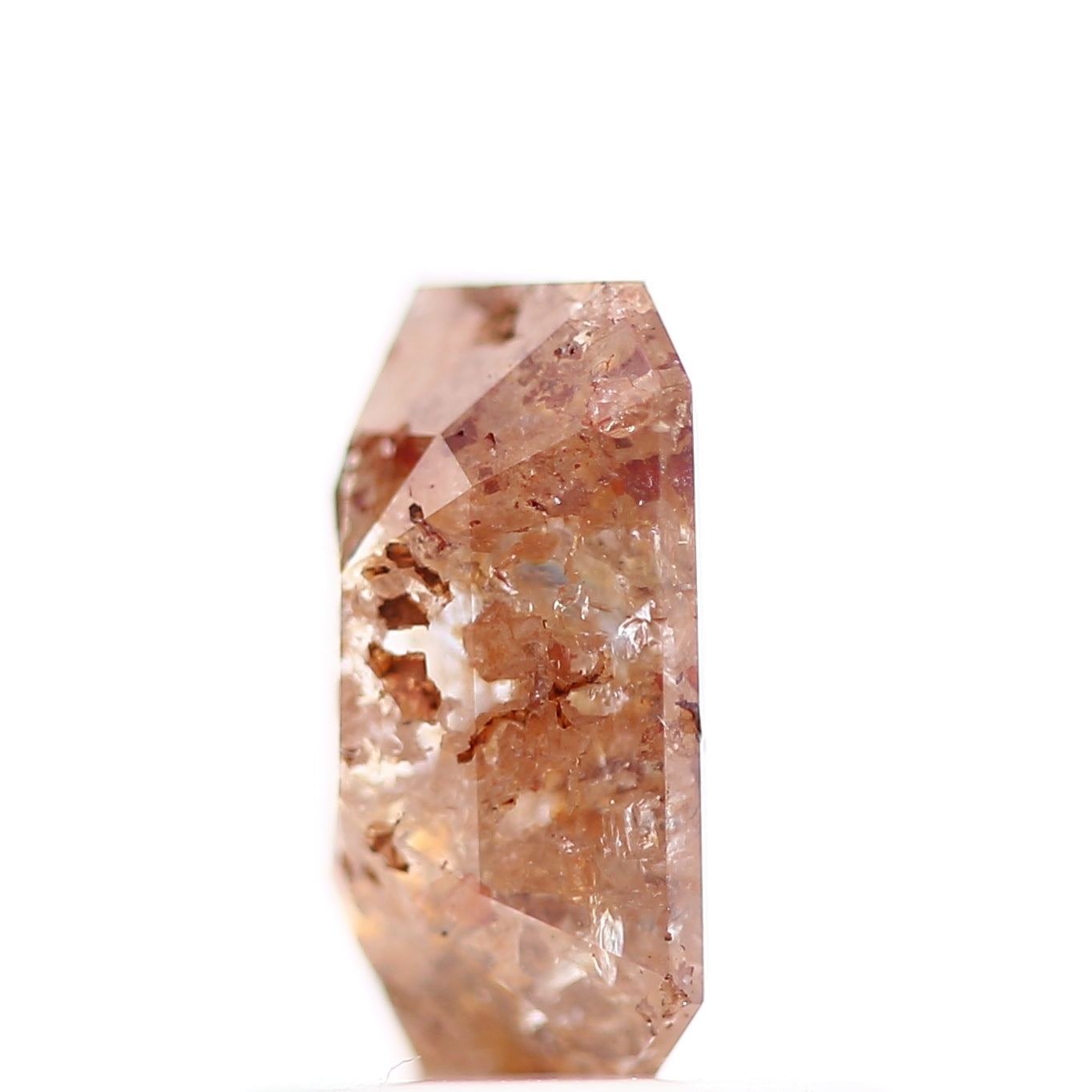 ClariOLED Transparent OLED Display price