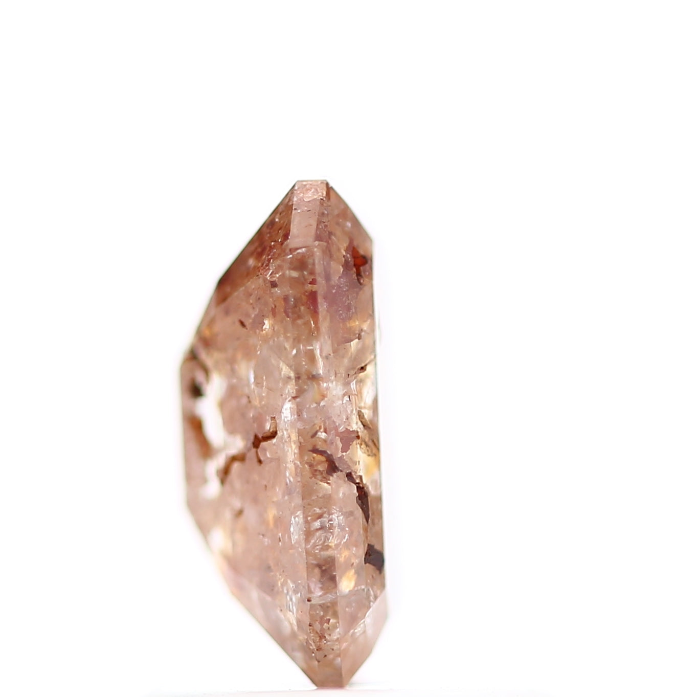 ClariOLED Transparent OLED Display price