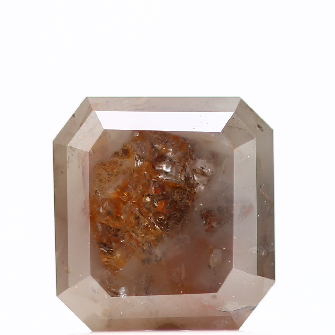 ClariOLED Transparent OLED Display price