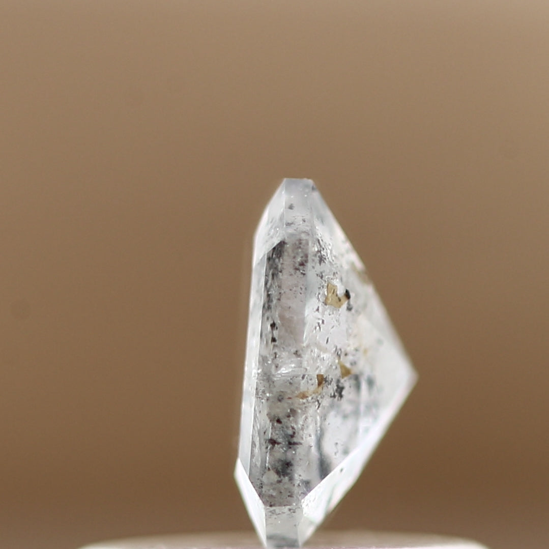 ClariOLED Transparent OLED Display price