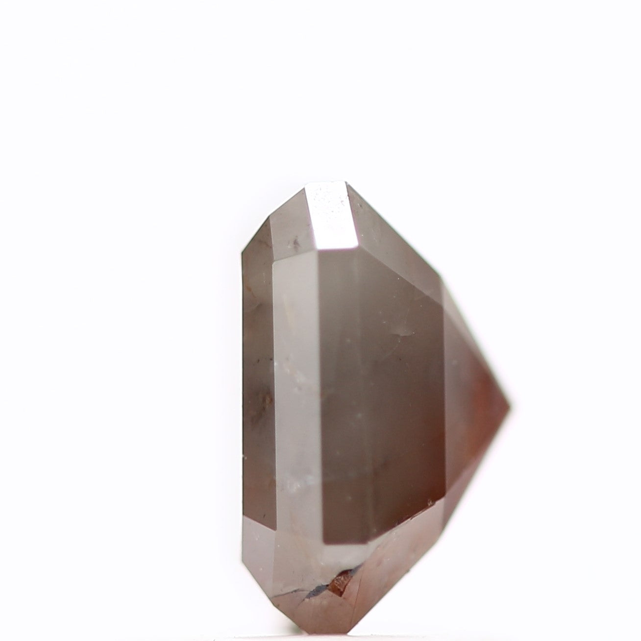 ClariOLED Transparent OLED Display price