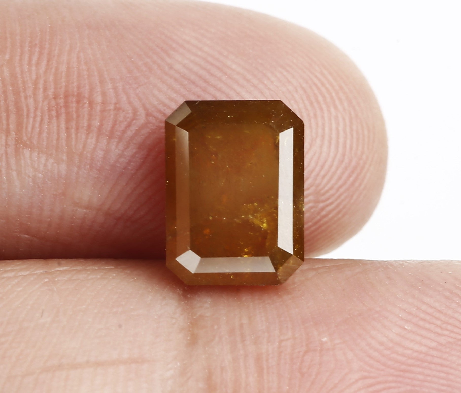 ClariOLED Transparent OLED Display price