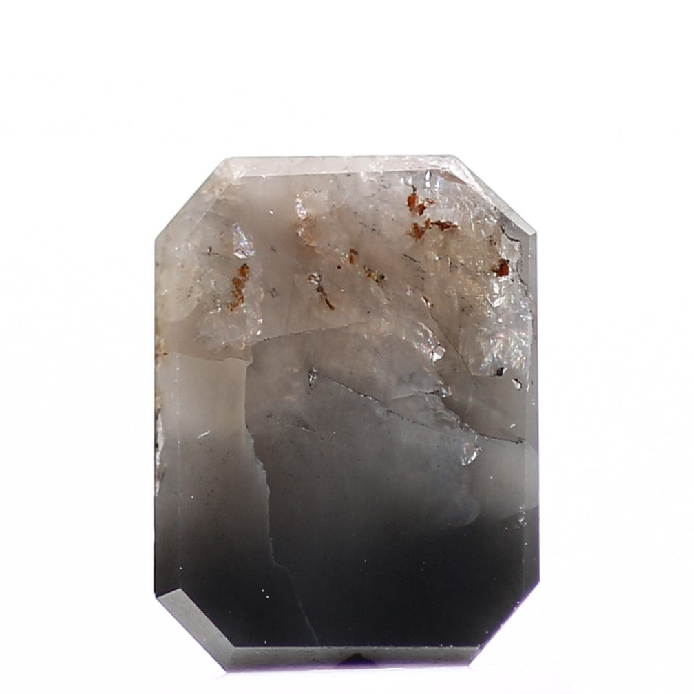 ClariOLED Transparent OLED Display price