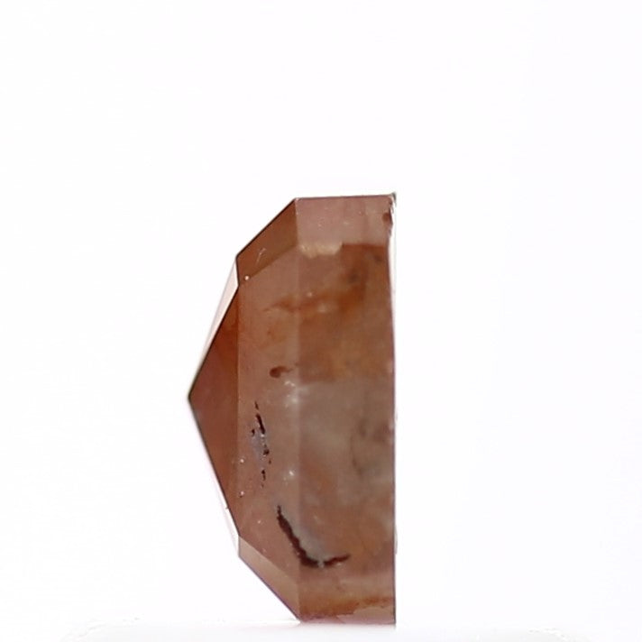 ClariOLED Transparent OLED Display price