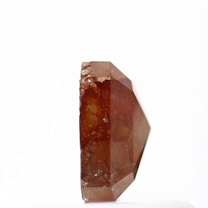 ClariOLED Transparent OLED Display price