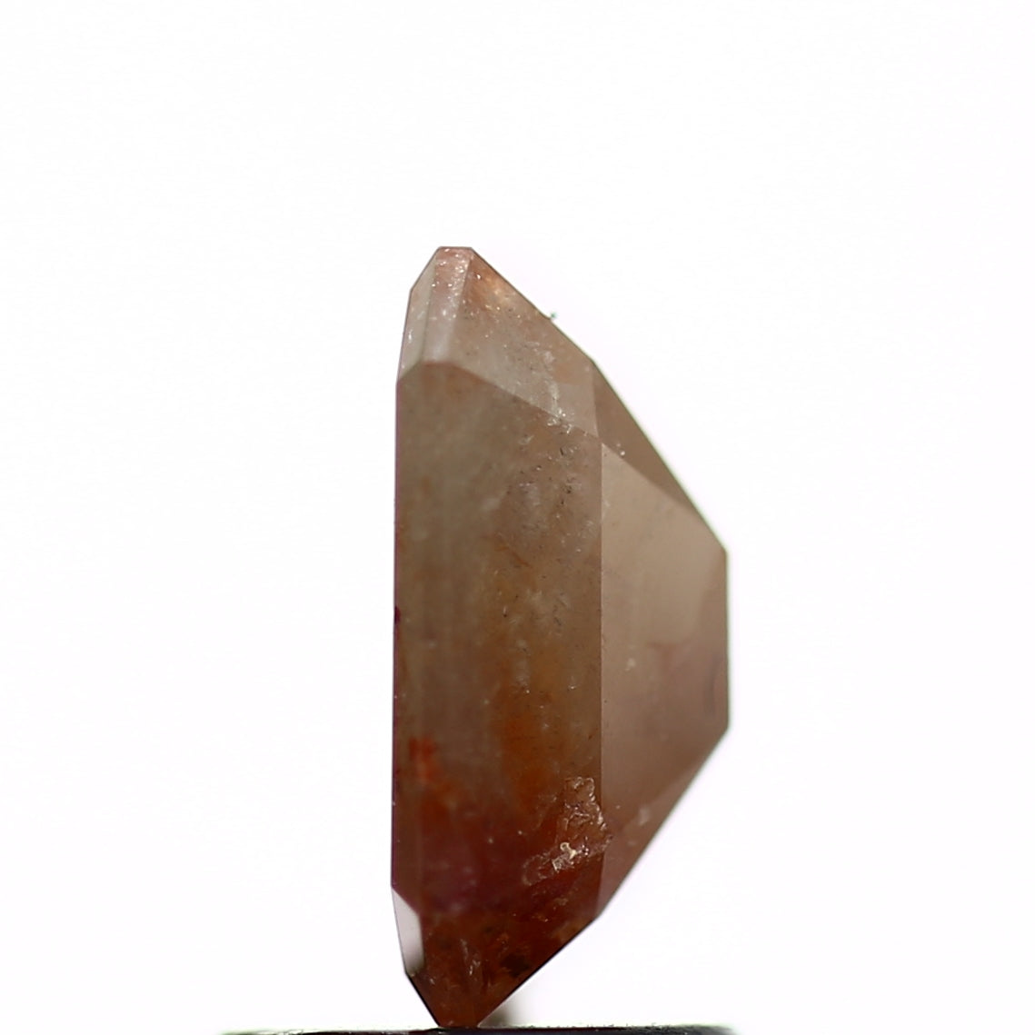 ClariOLED Transparent OLED Display price