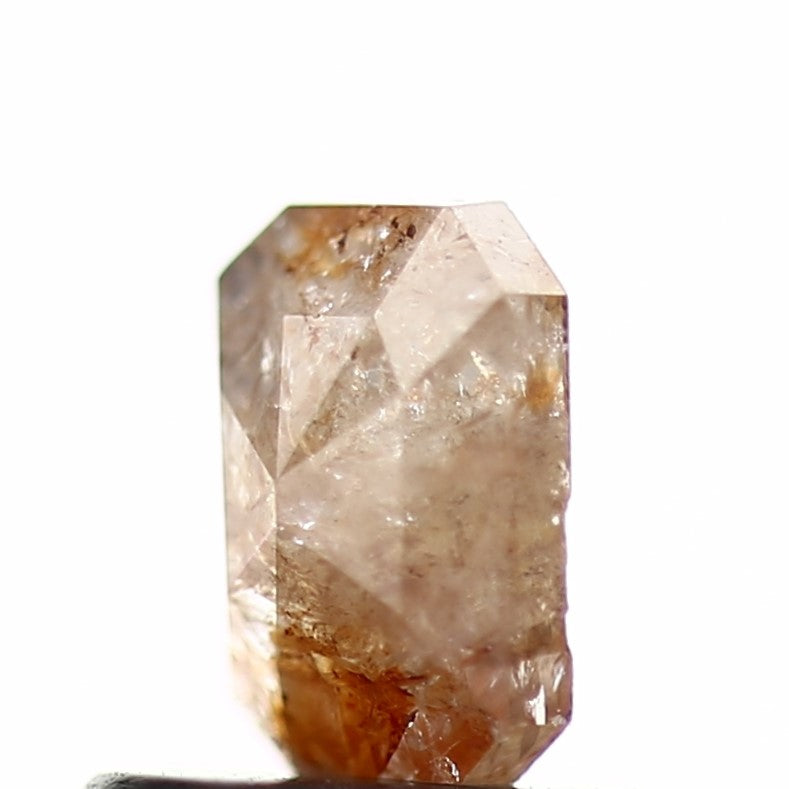 ClariOLED Transparent OLED Display price