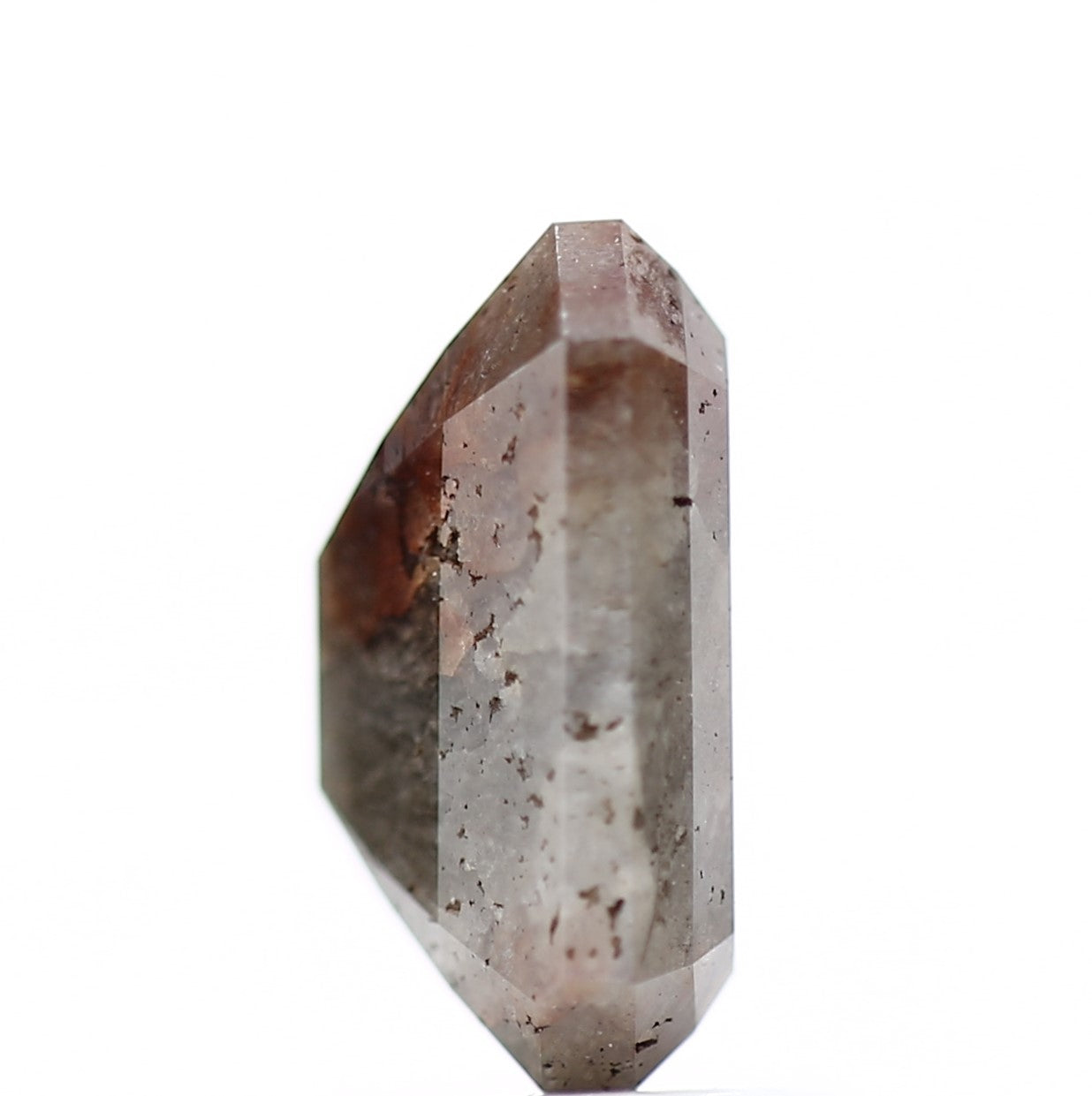 ClariOLED Transparent OLED Display price