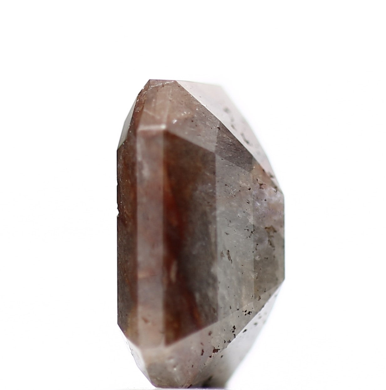 ClariOLED Transparent OLED Display price