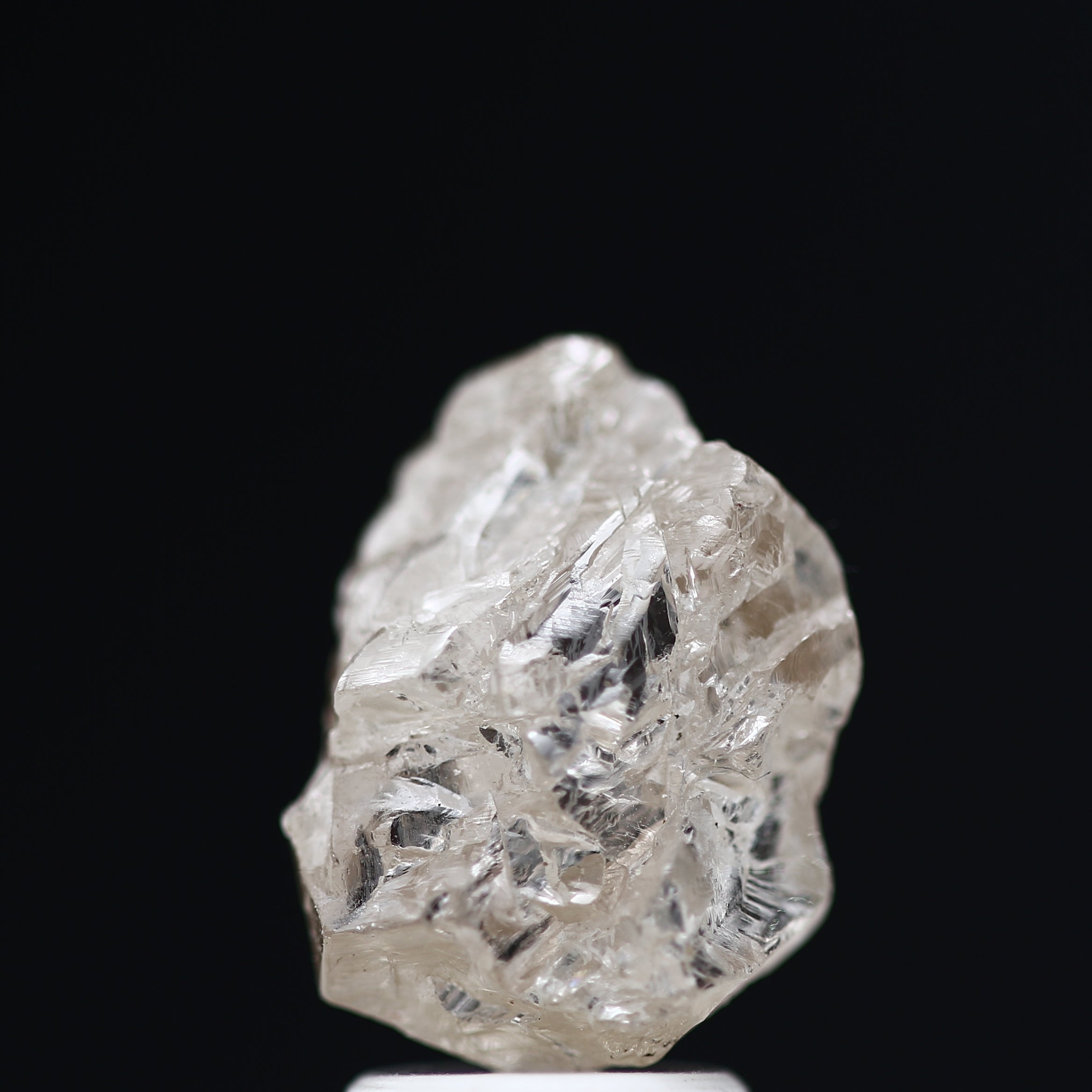 ClariOLED Transparent OLED Display price