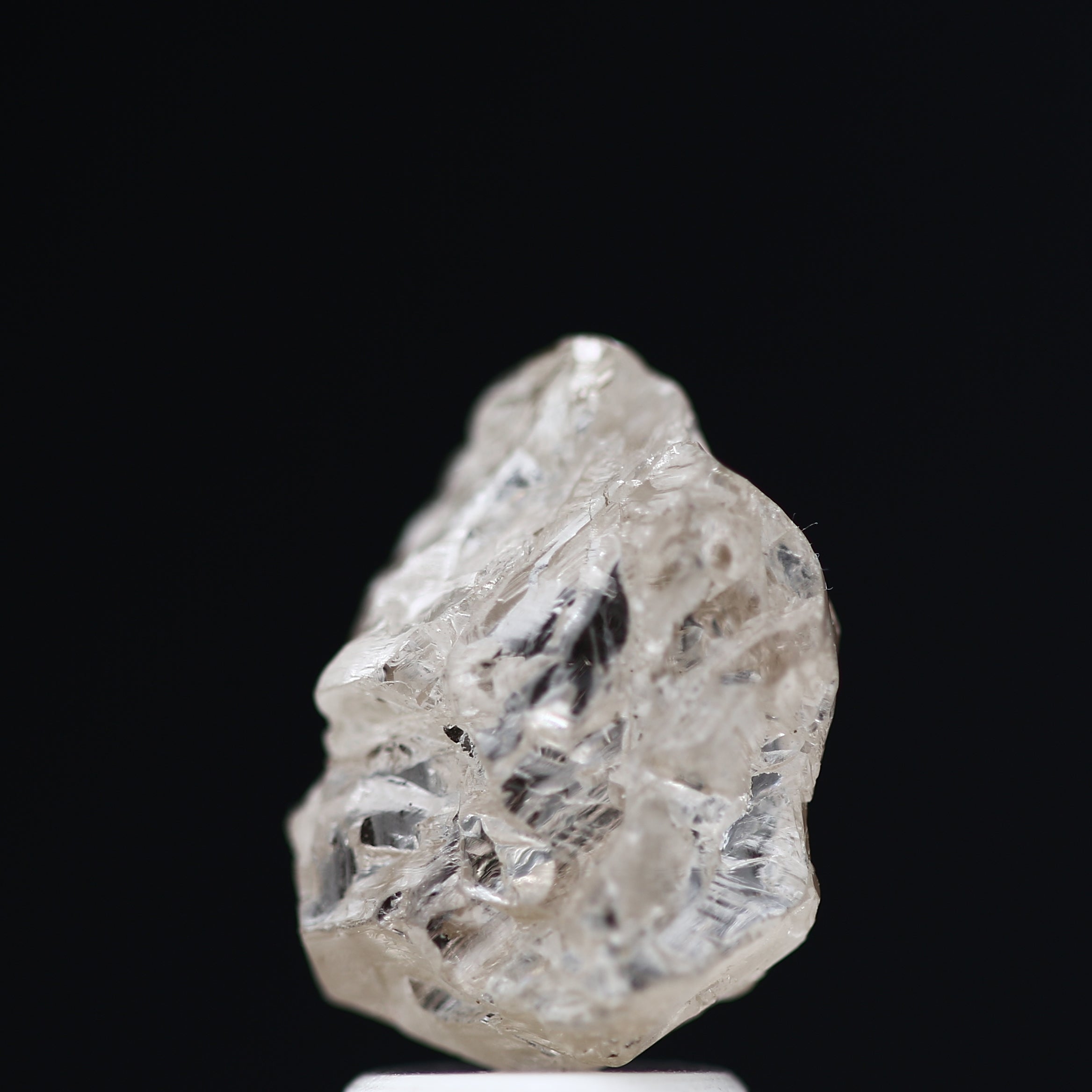 ClariOLED Transparent OLED Display price