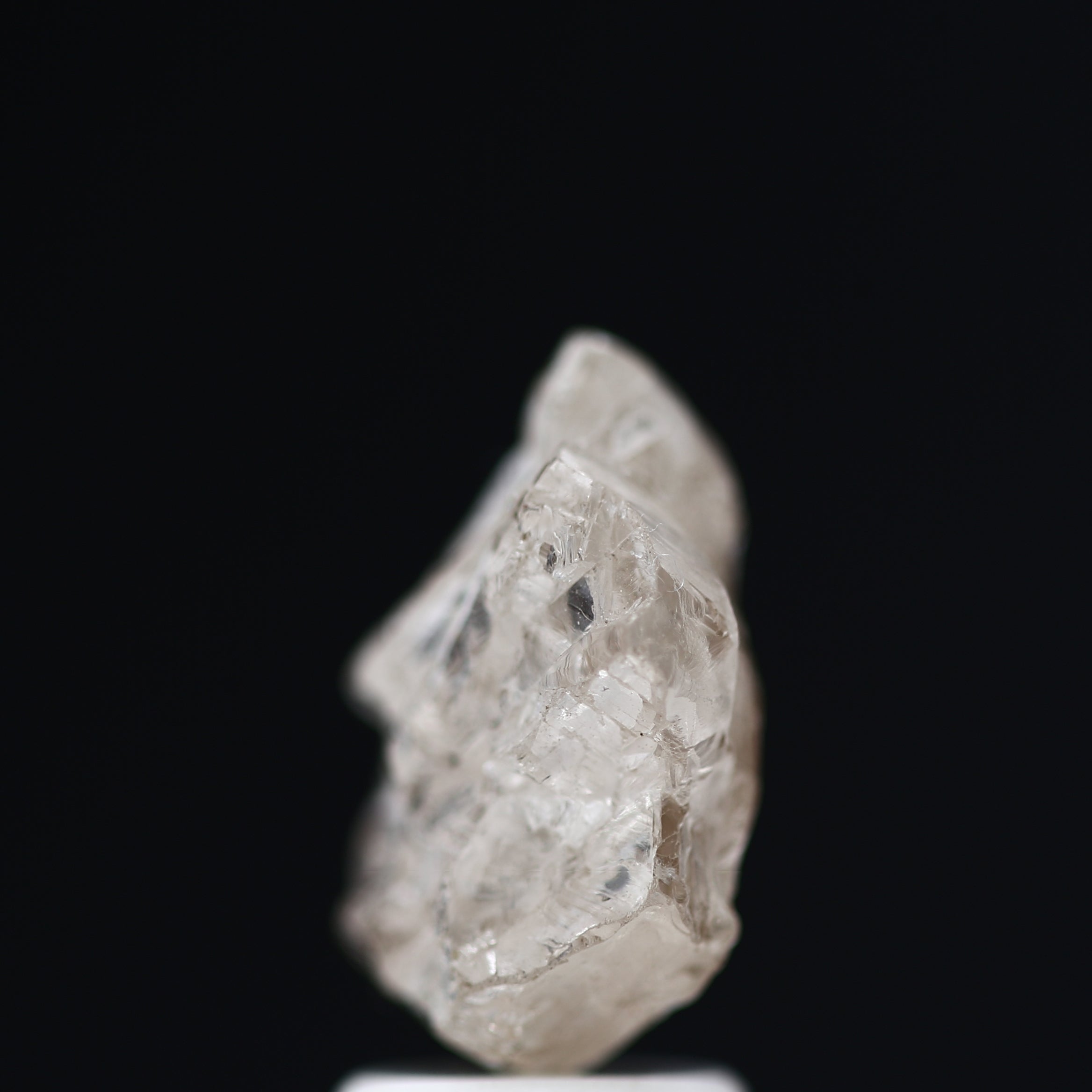 ClariOLED Transparent OLED Display price