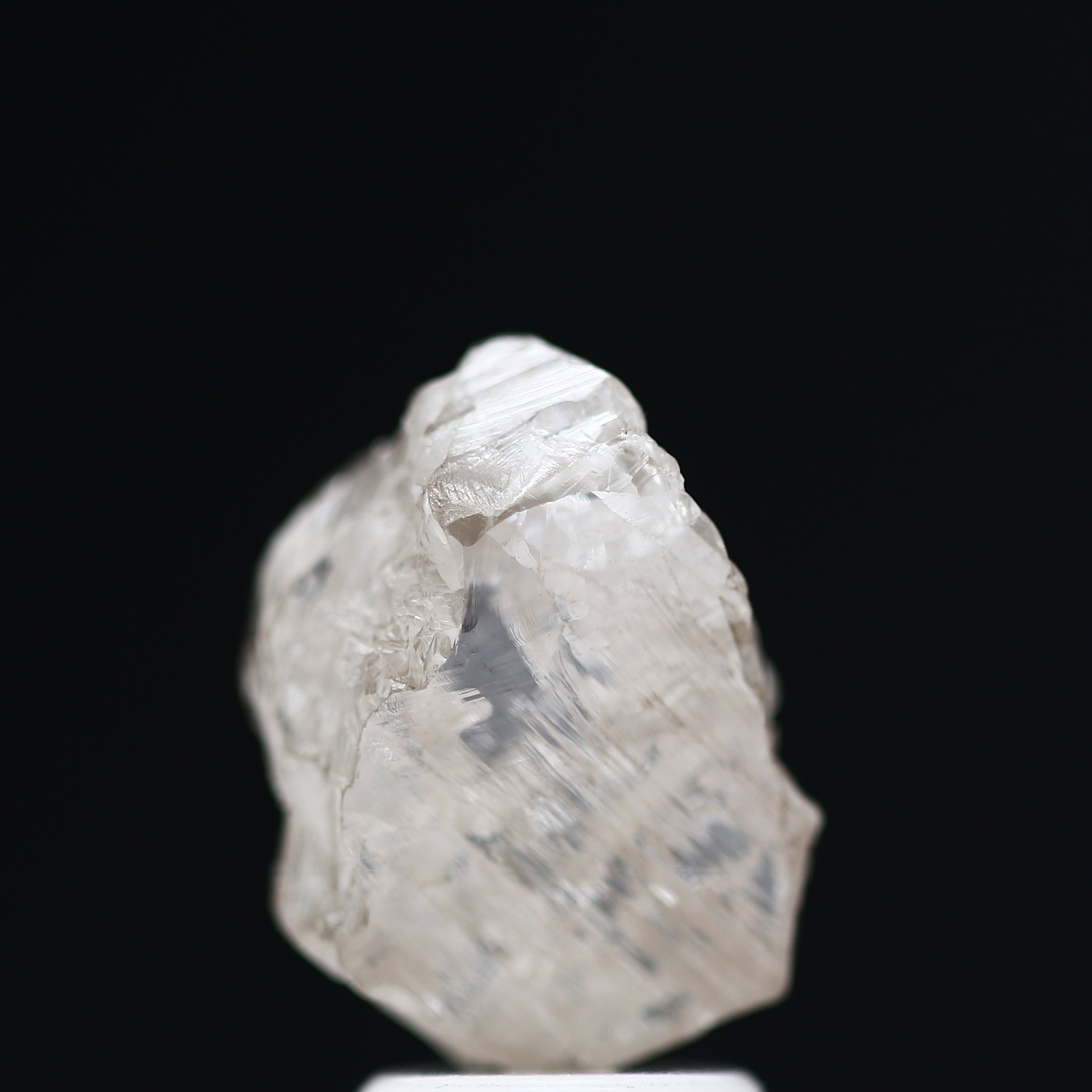 ClariOLED Transparent OLED Display price