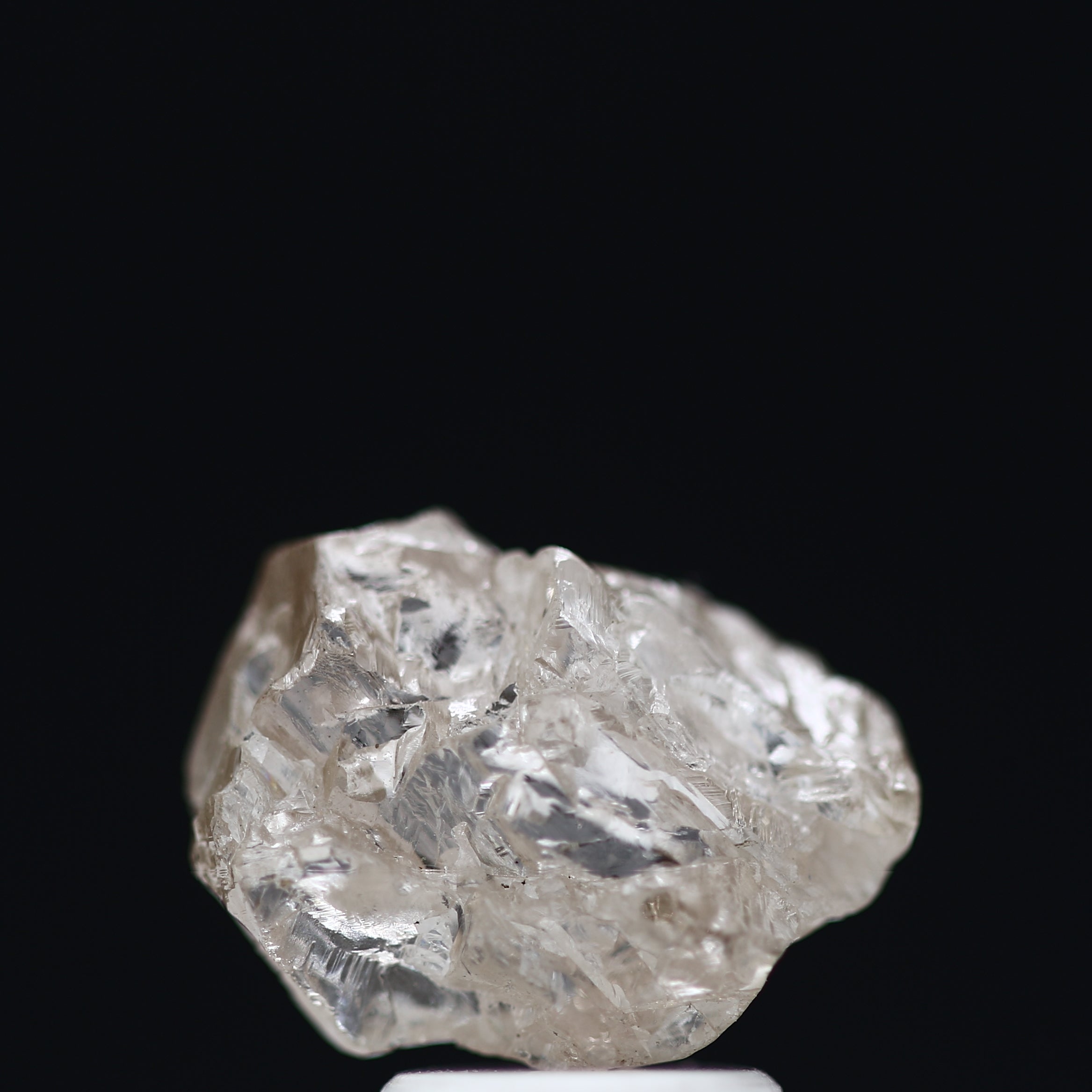 ClariOLED Transparent OLED Display price