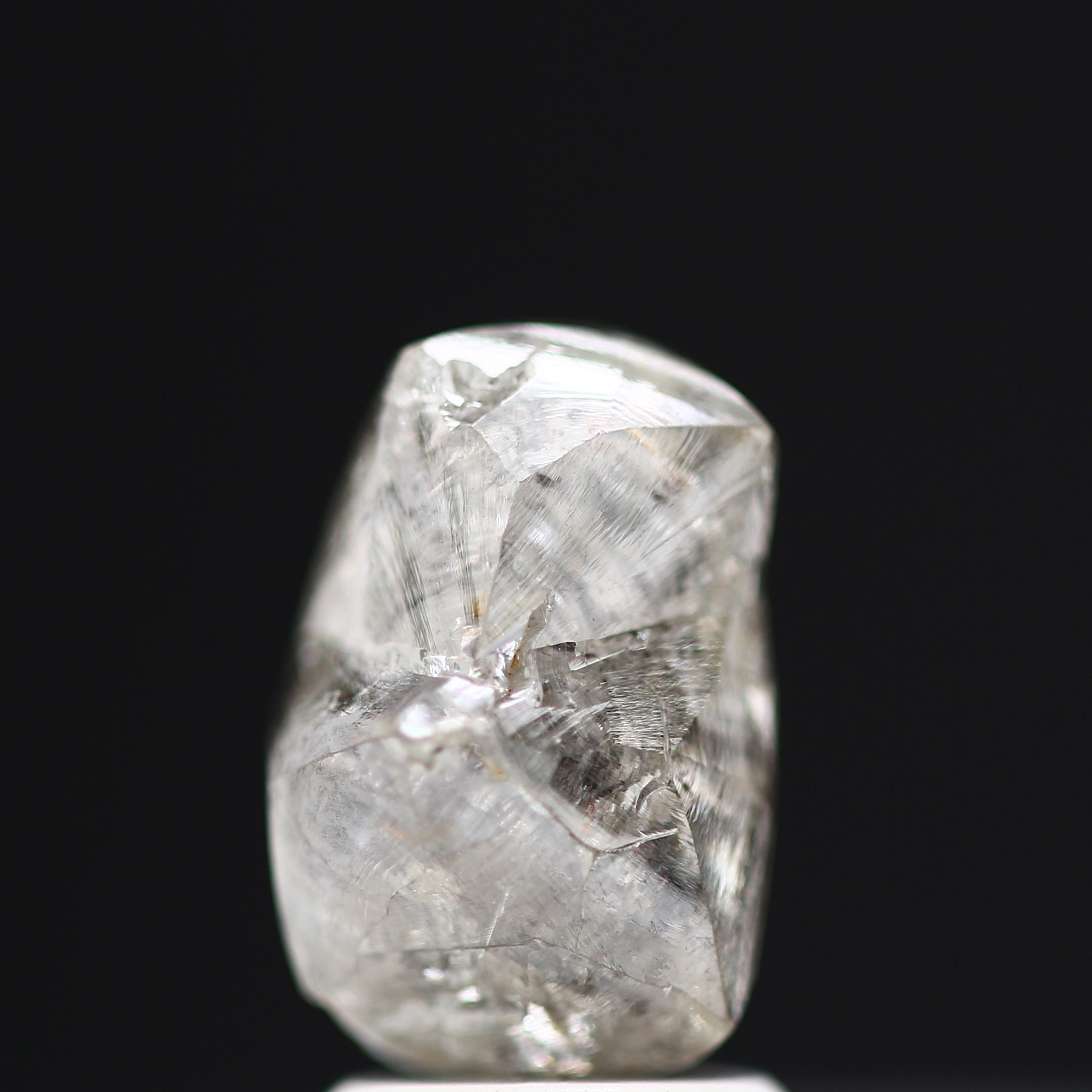 ClariOLED Transparent OLED Display price