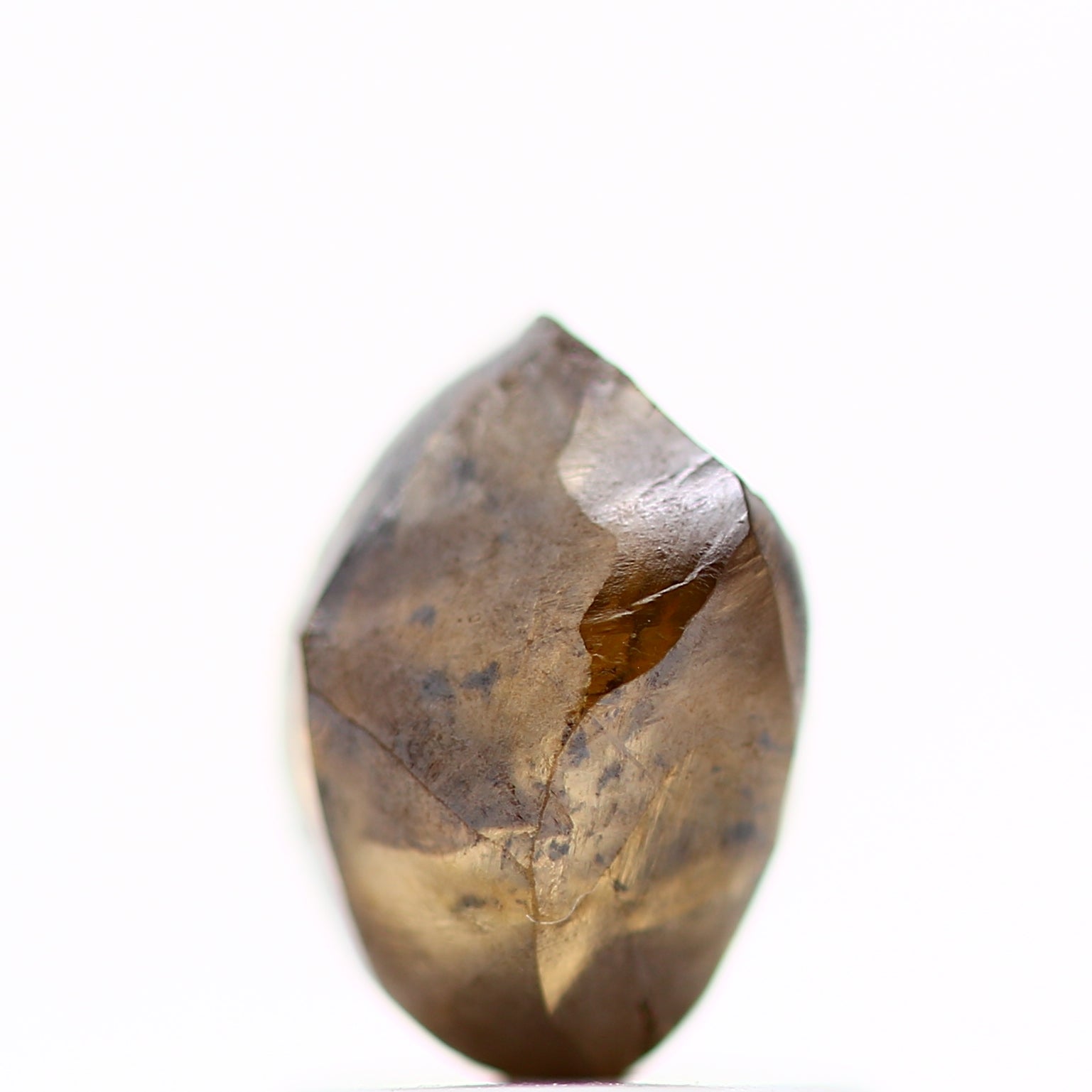 ClariOLED Transparent OLED Display price