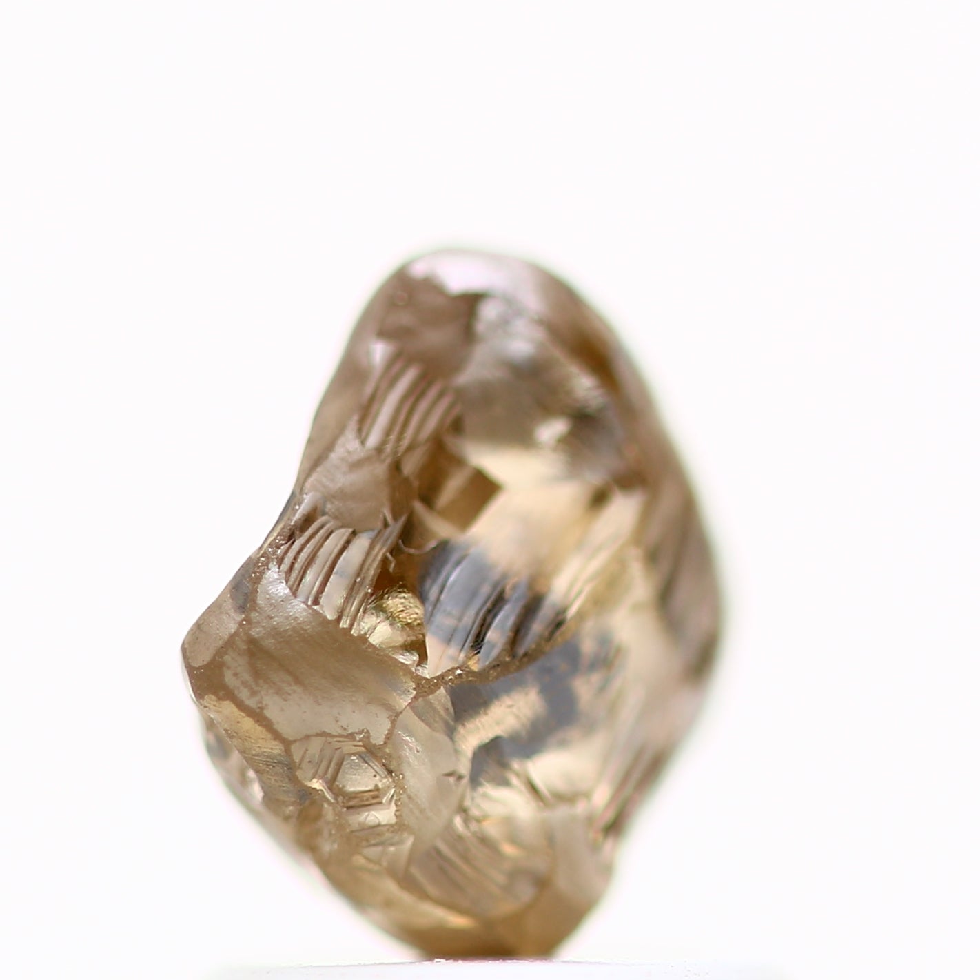 ClariOLED Transparent OLED Display price