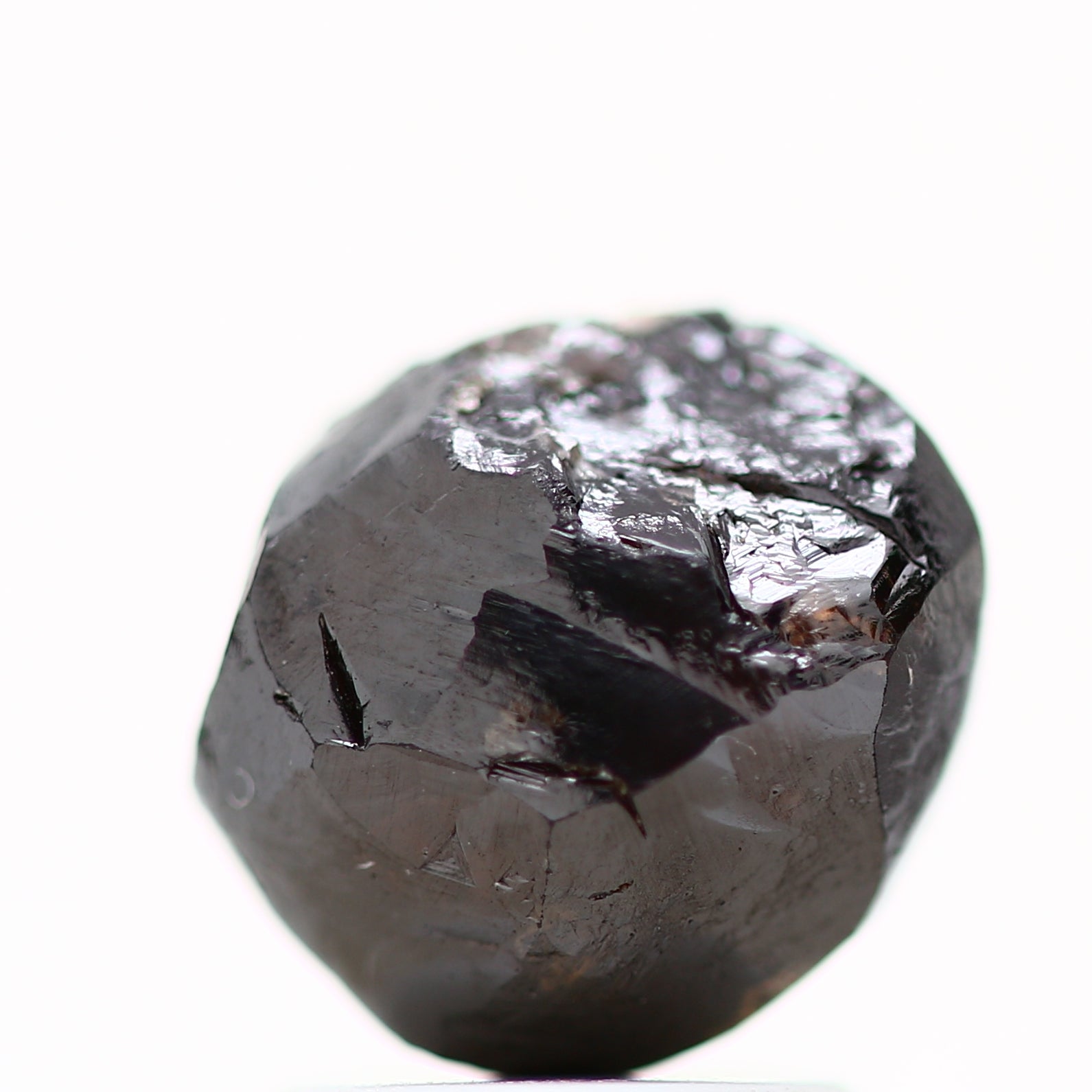 ClariOLED Transparent OLED Display price