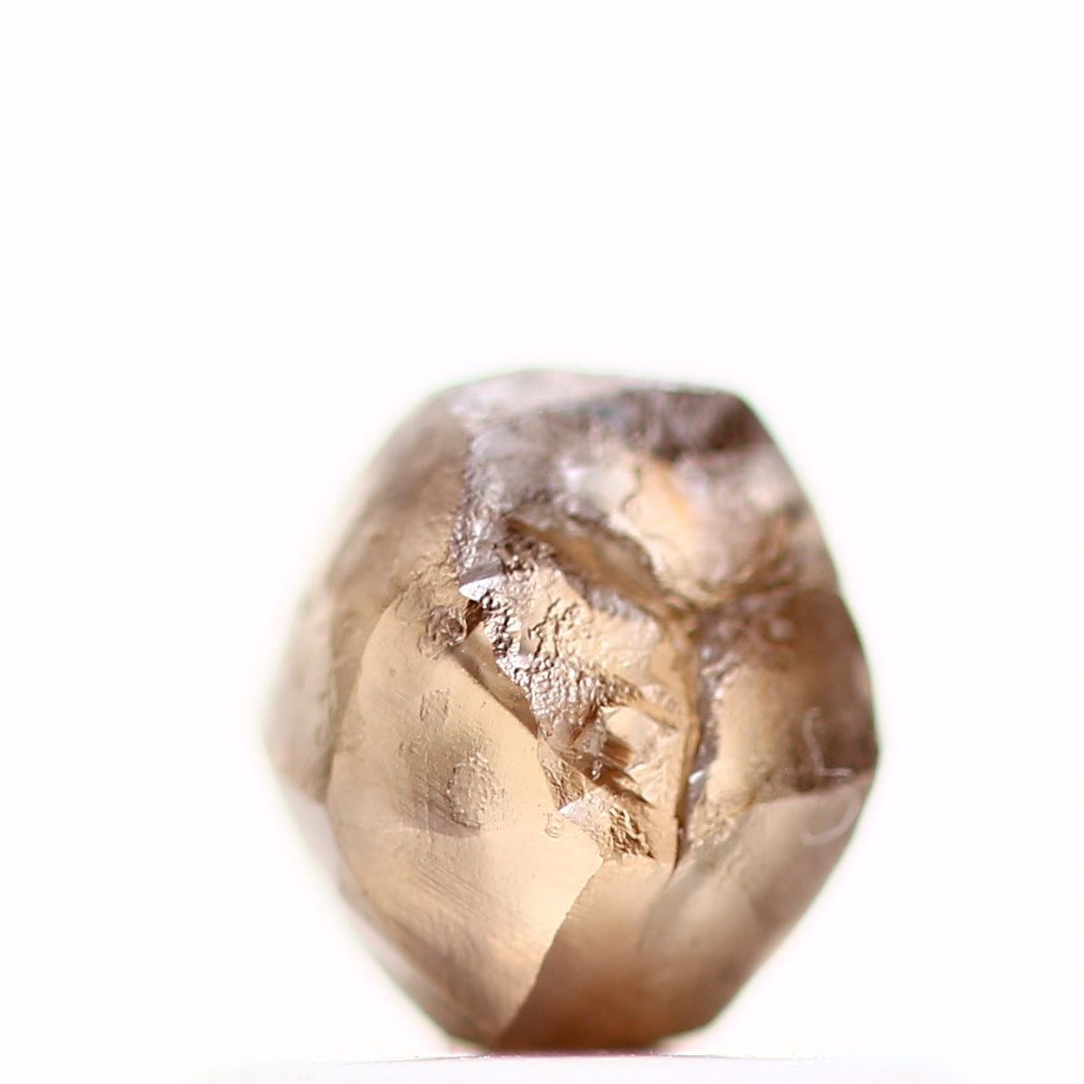 ClariOLED Transparent OLED Display price