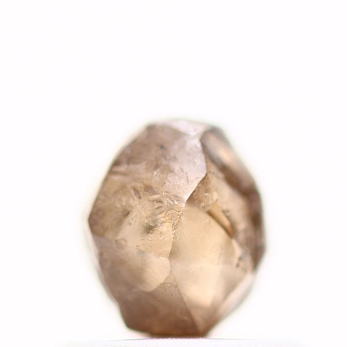 ClariOLED Transparent OLED Display price