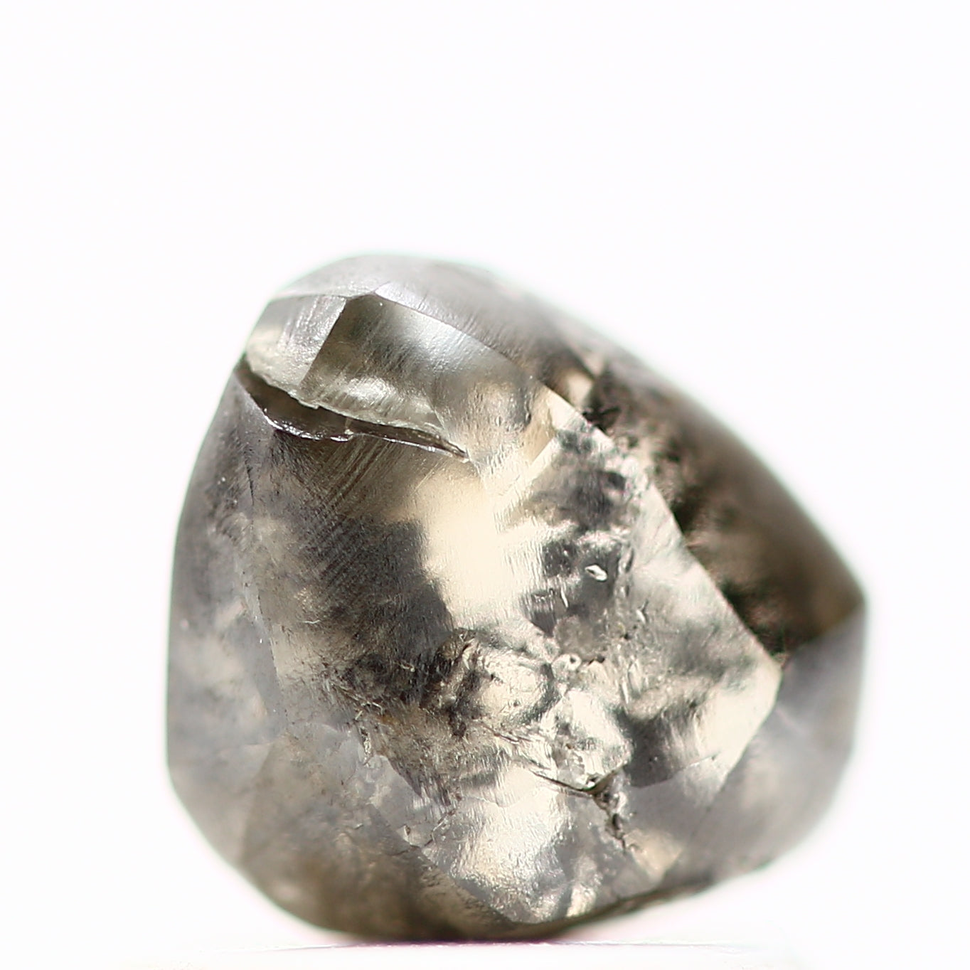 ClariOLED Transparent OLED Display price