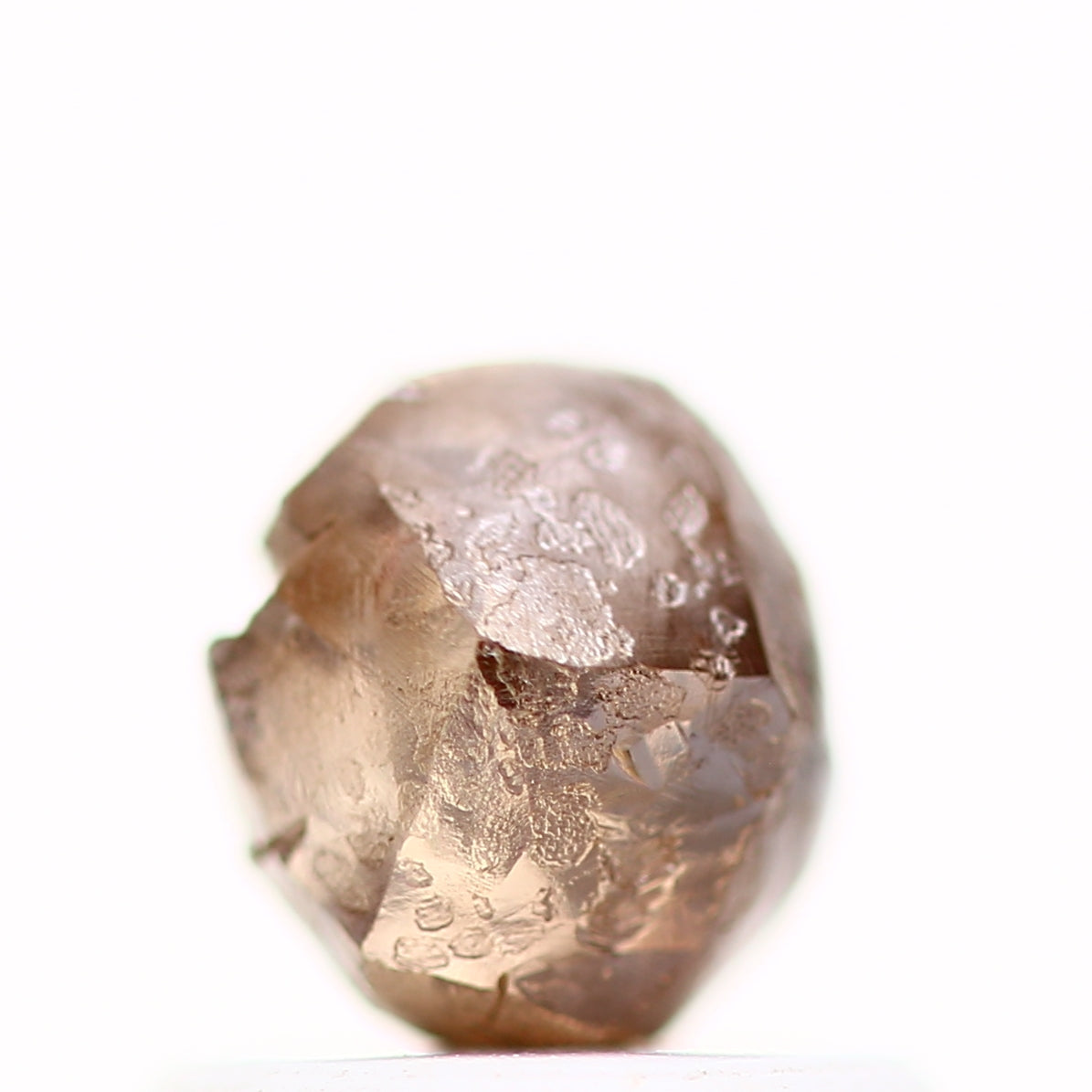 ClariOLED Transparent OLED Display price