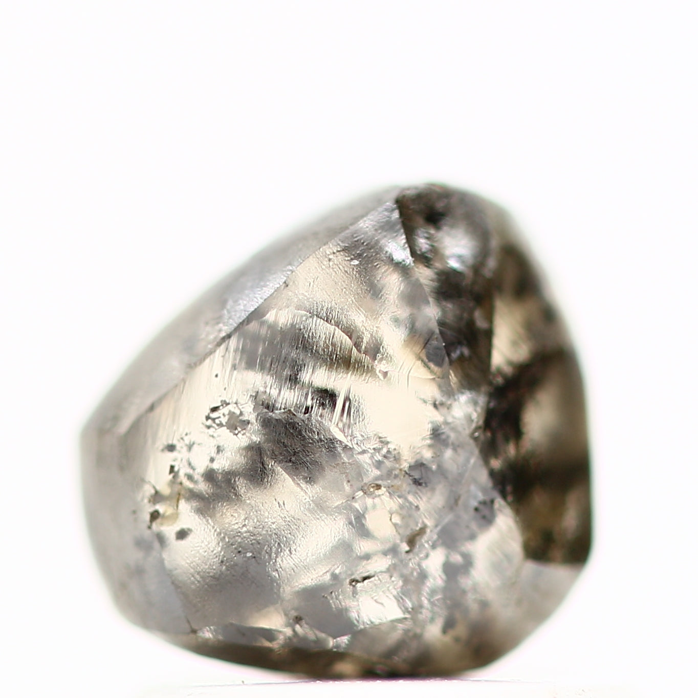 ClariOLED Transparent OLED Display price