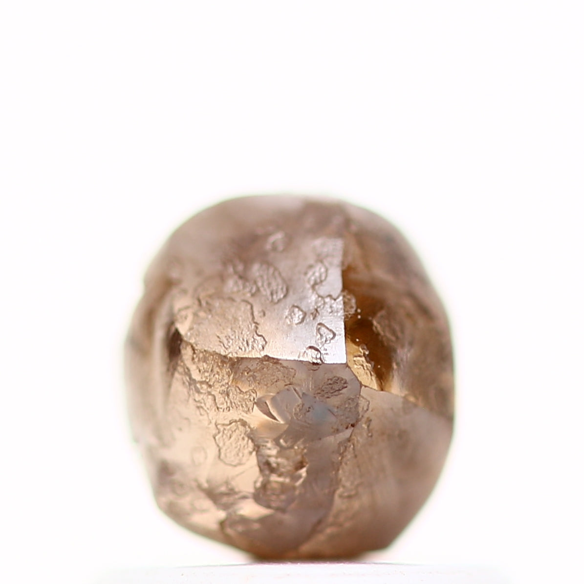 ClariOLED Transparent OLED Display price