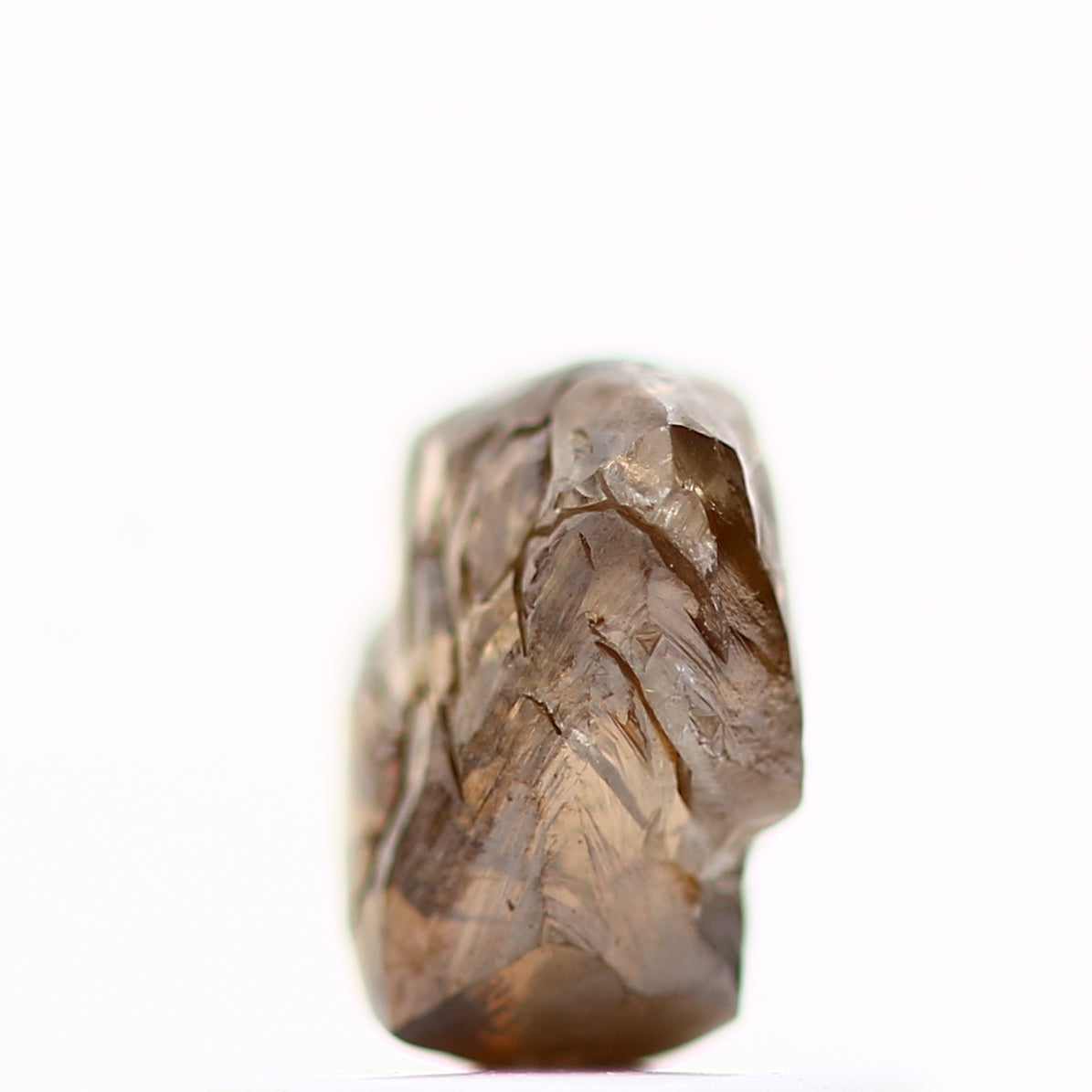 ClariOLED Transparent OLED Display price