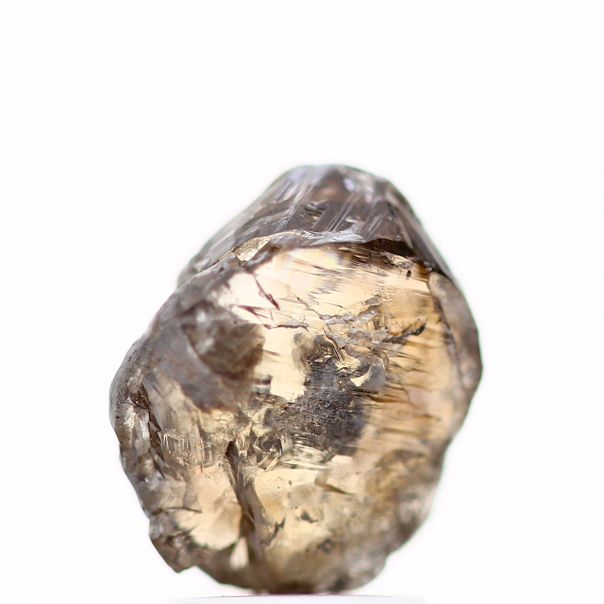 ClariOLED Transparent OLED Display price