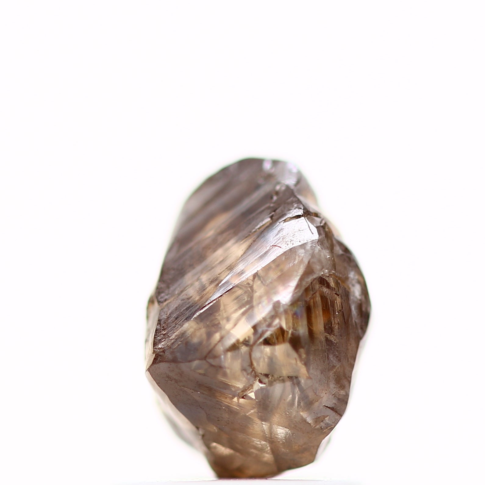 ClariOLED Transparent OLED Display price