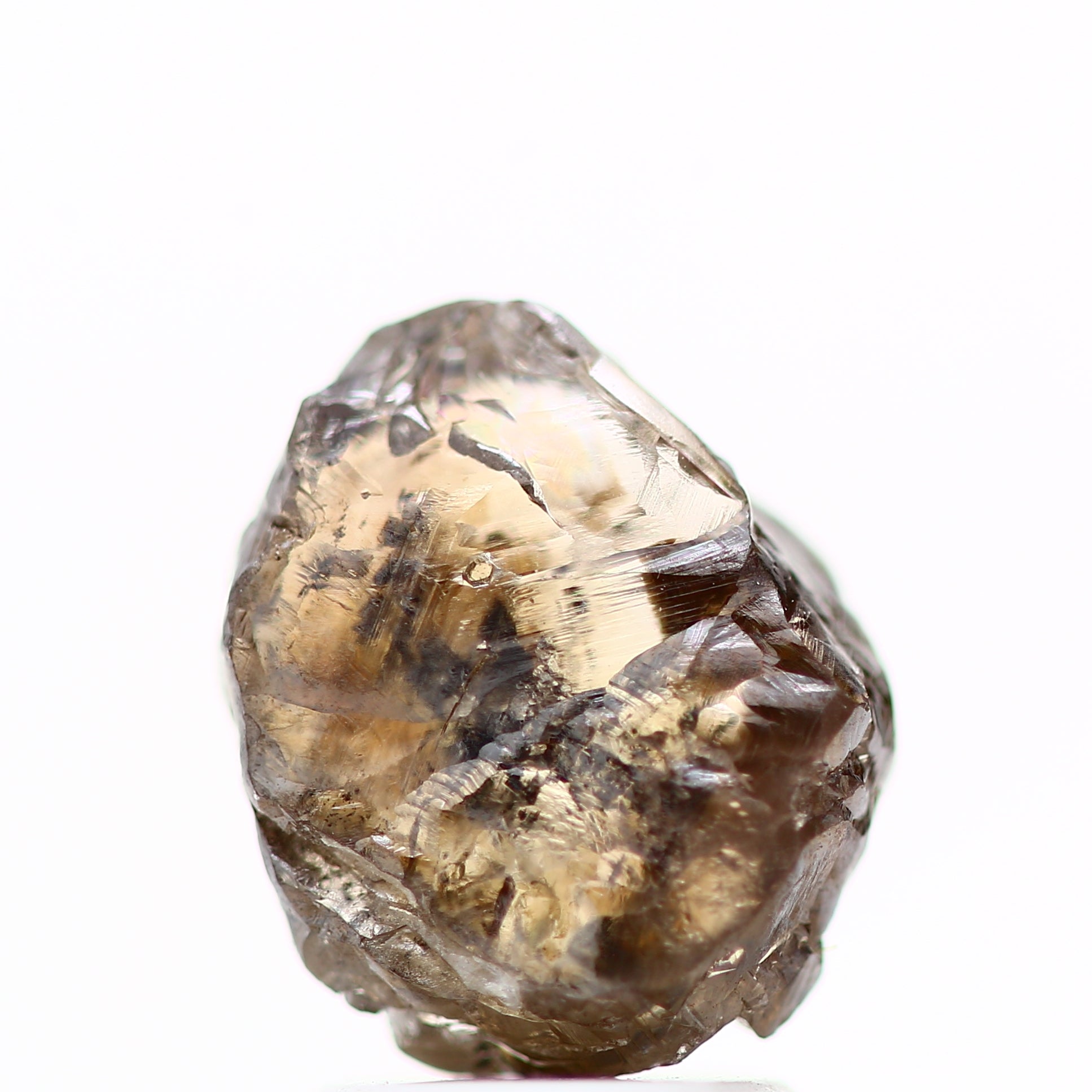 ClariOLED Transparent OLED Display price