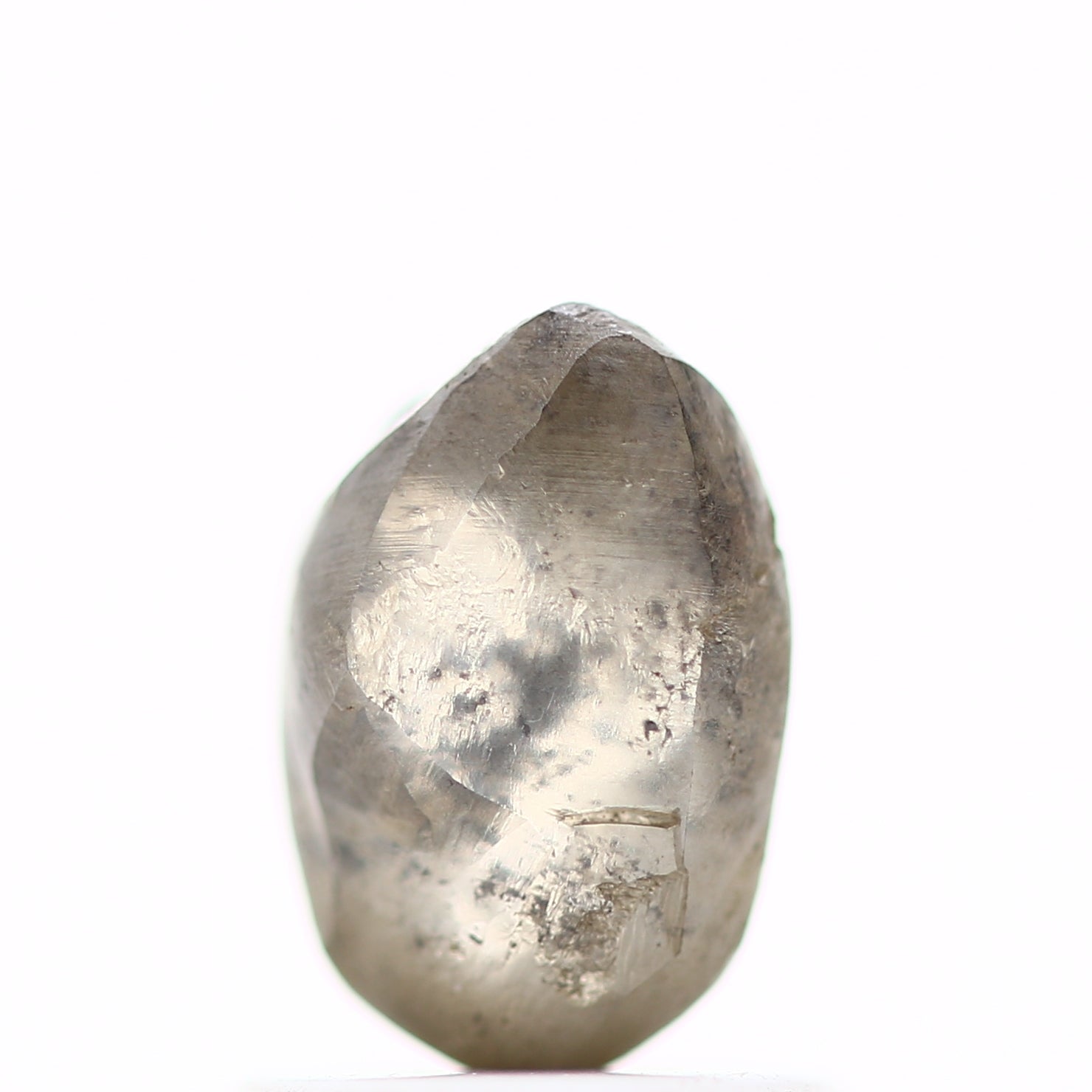 ClariOLED Transparent OLED Display price