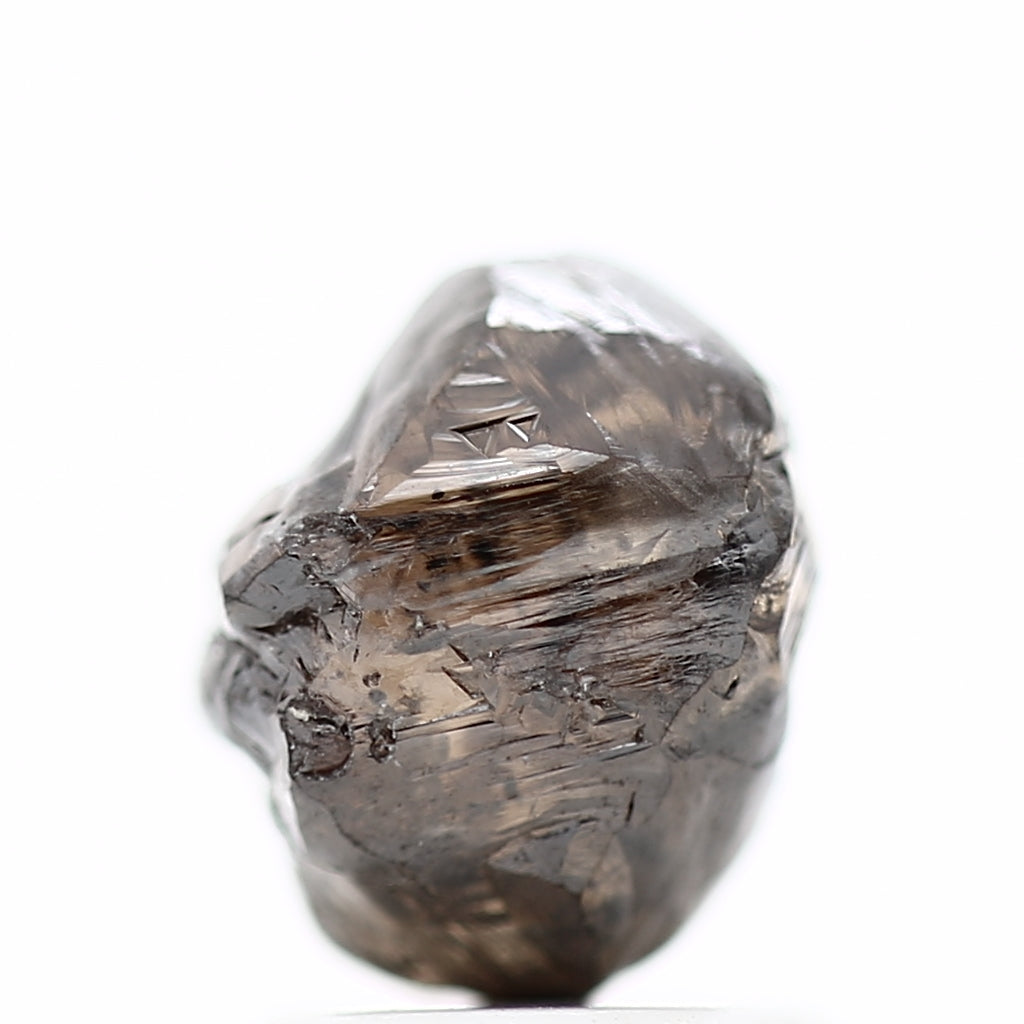 ClariOLED Transparent OLED Display price