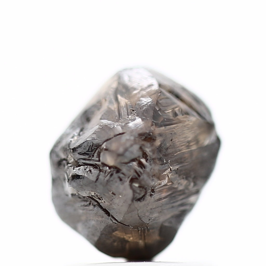 ClariOLED Transparent OLED Display price