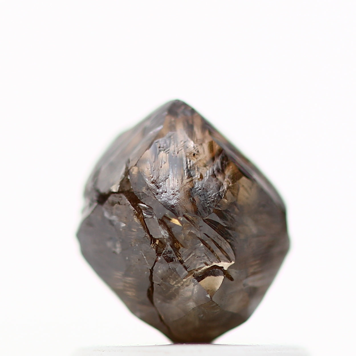 ClariOLED Transparent OLED Display price