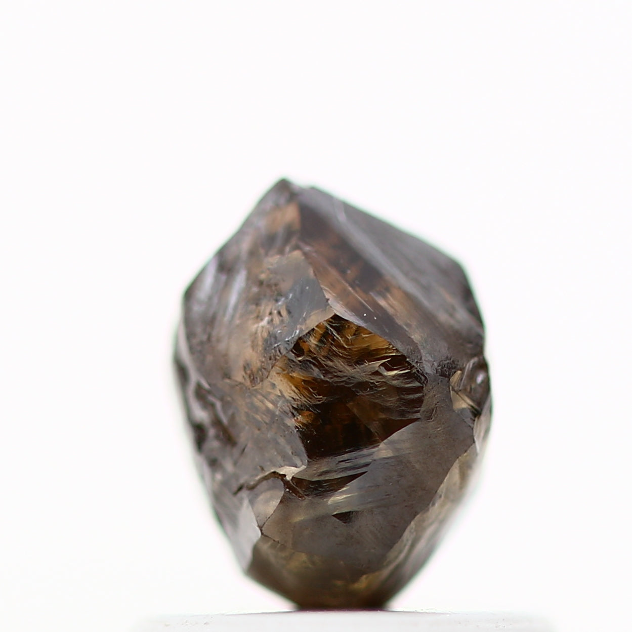 ClariOLED Transparent OLED Display price