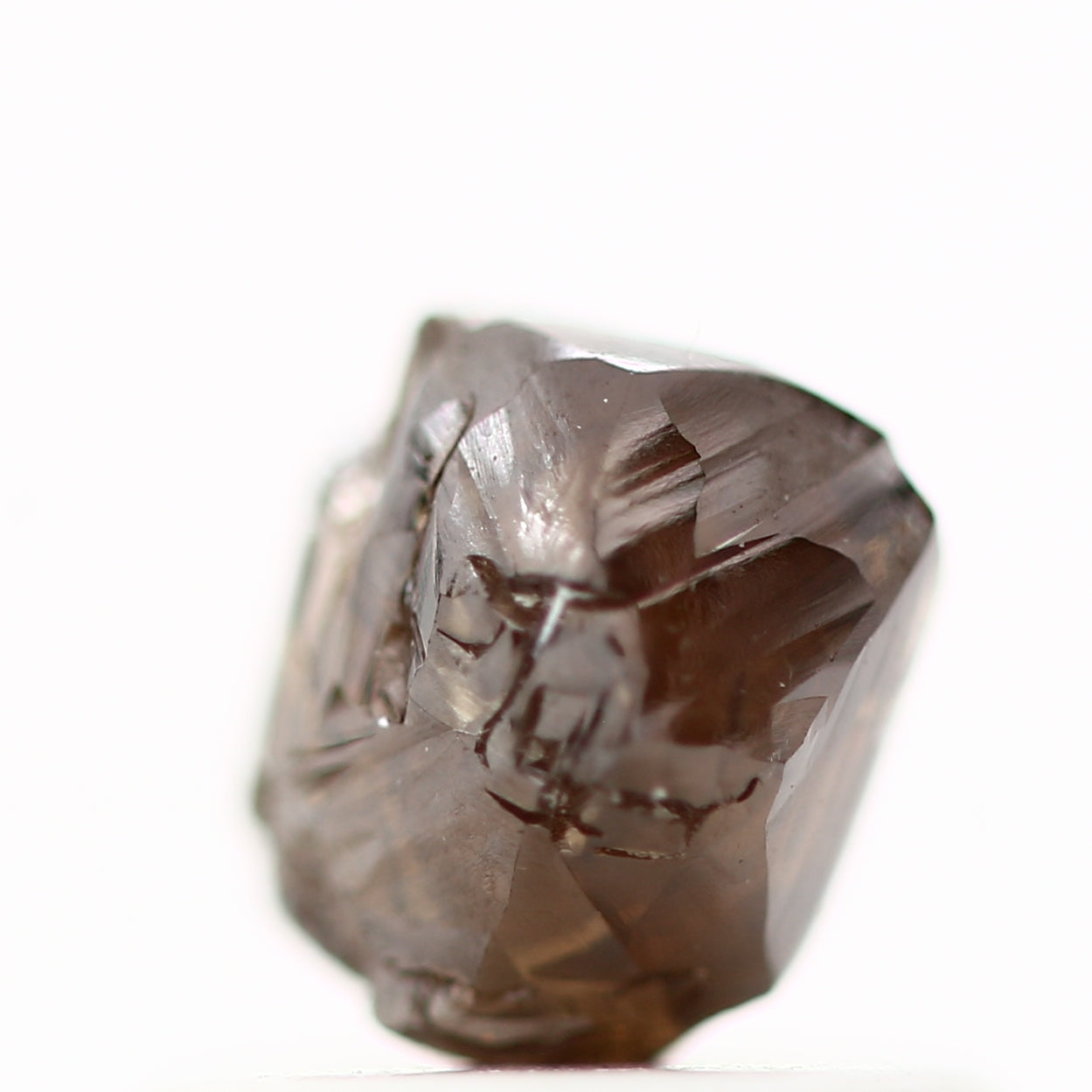 ClariOLED Transparent OLED Display price