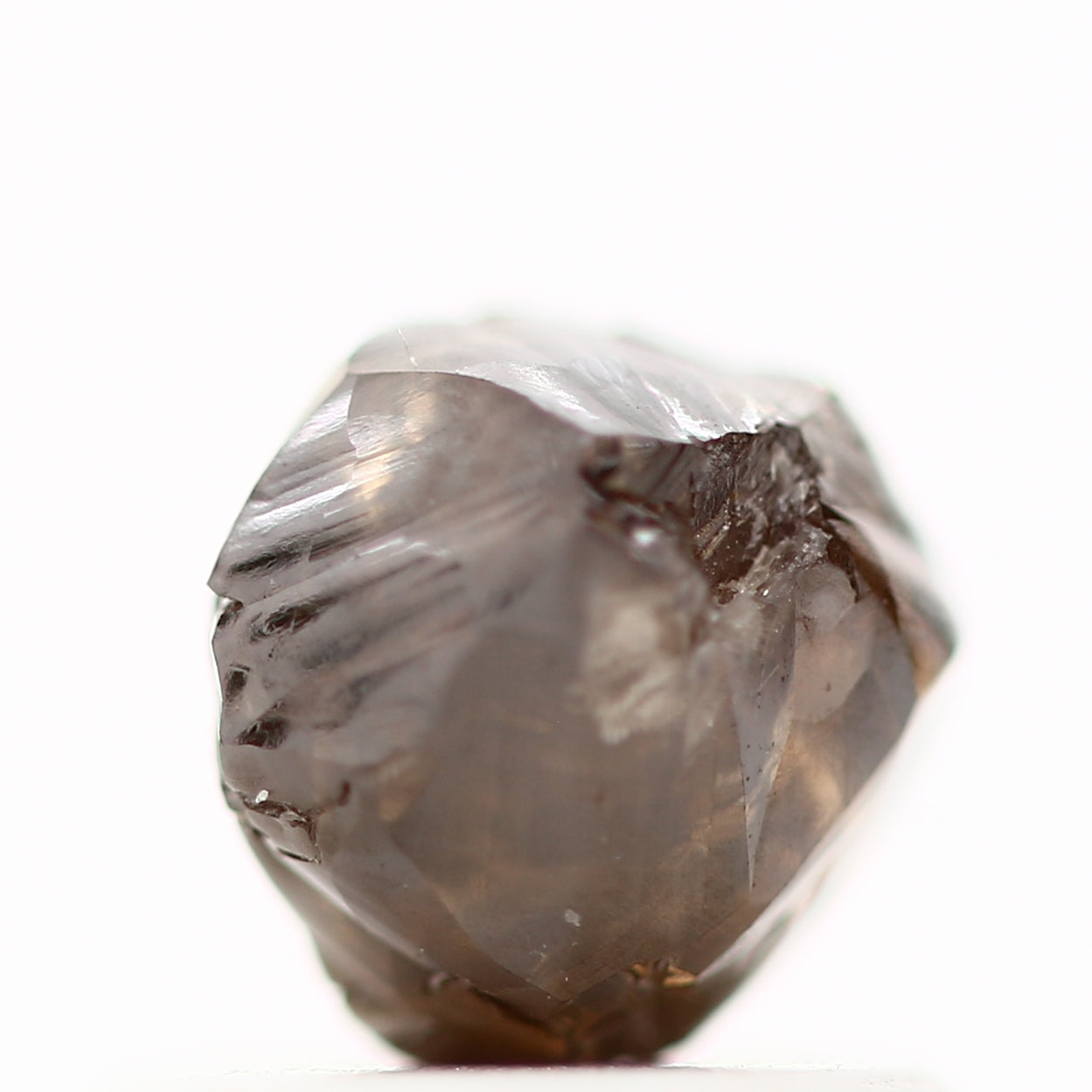 ClariOLED Transparent OLED Display price