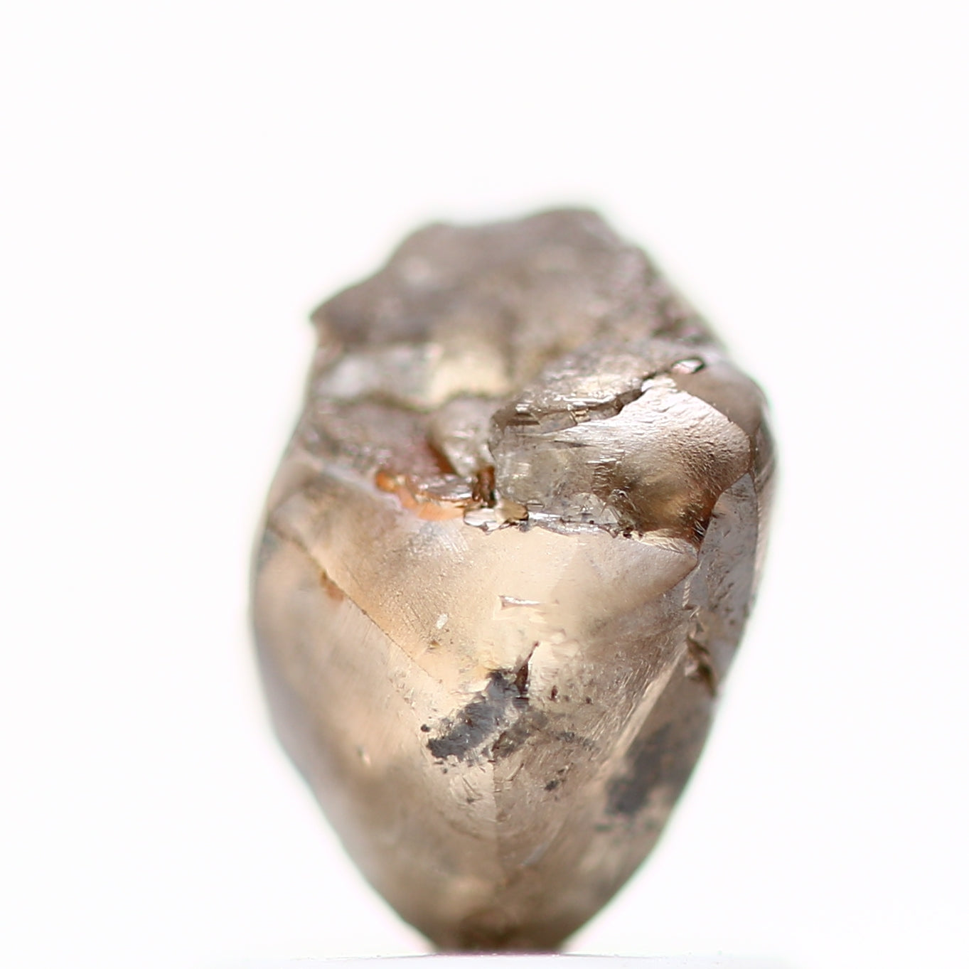 ClariOLED Transparent OLED Display price