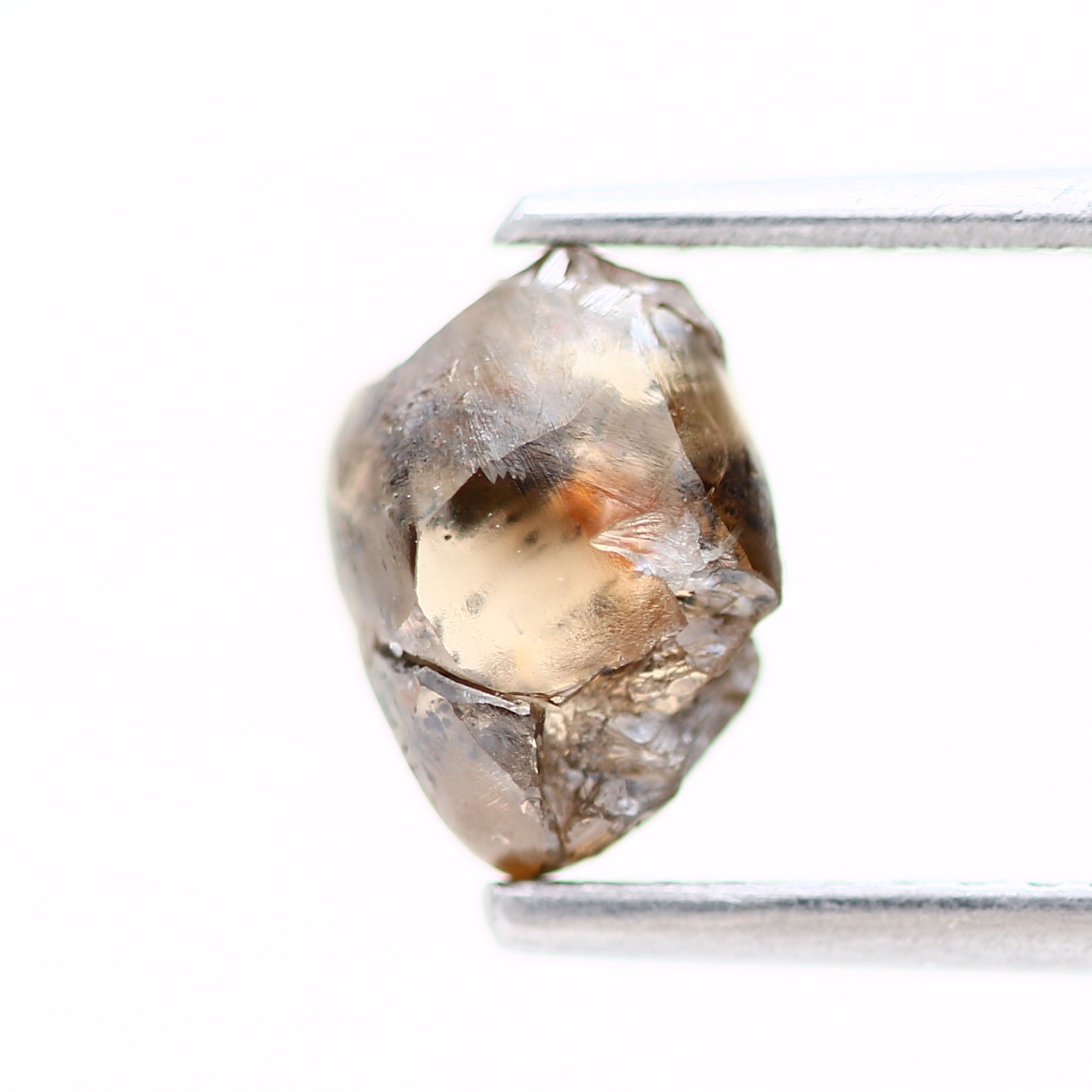 ClariOLED Transparent OLED Display price