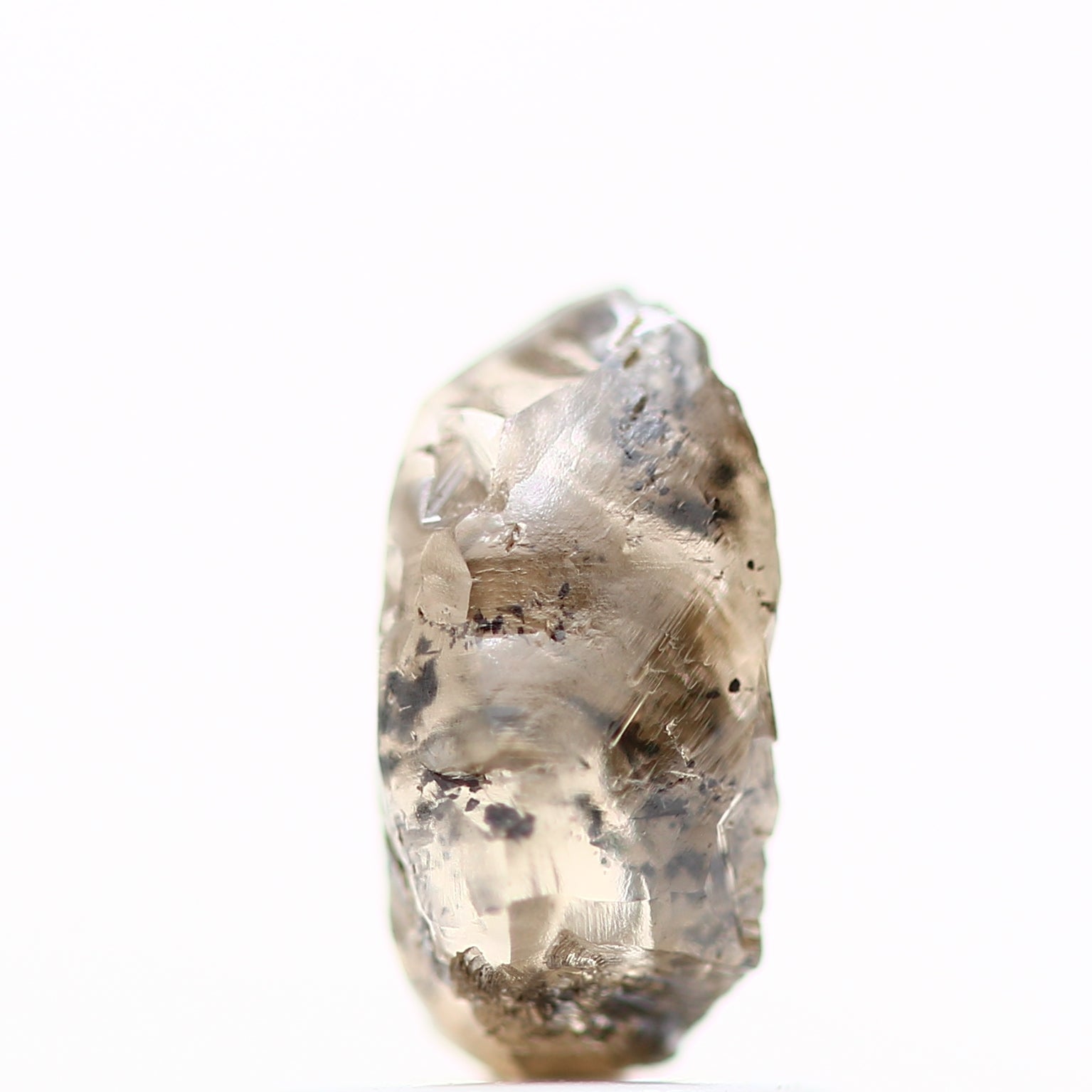 ClariOLED Transparent OLED Display price