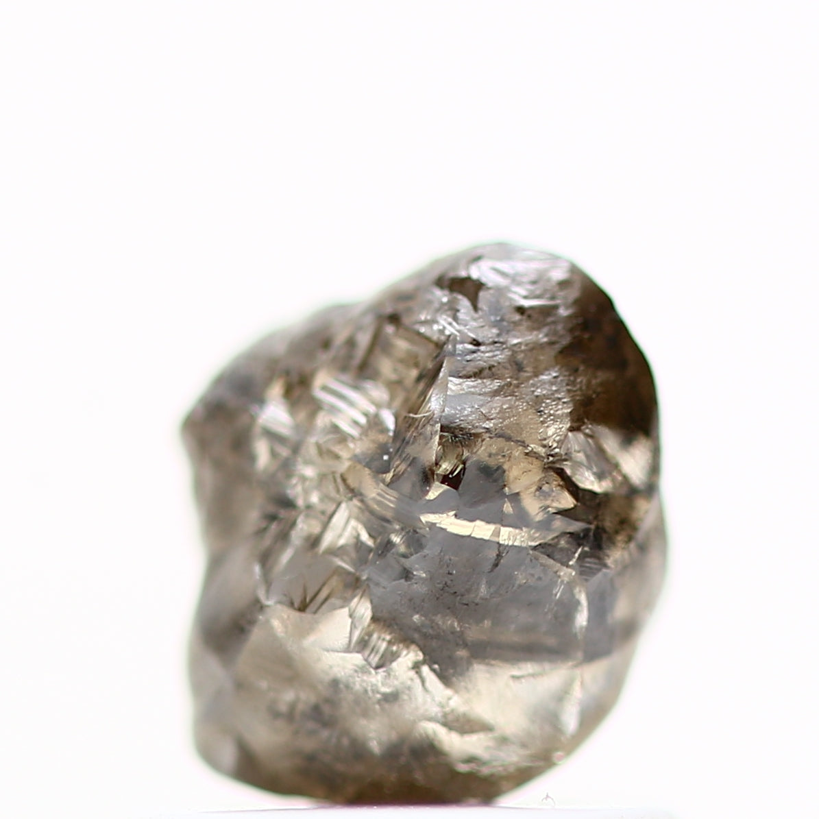 ClariOLED Transparent OLED Display price