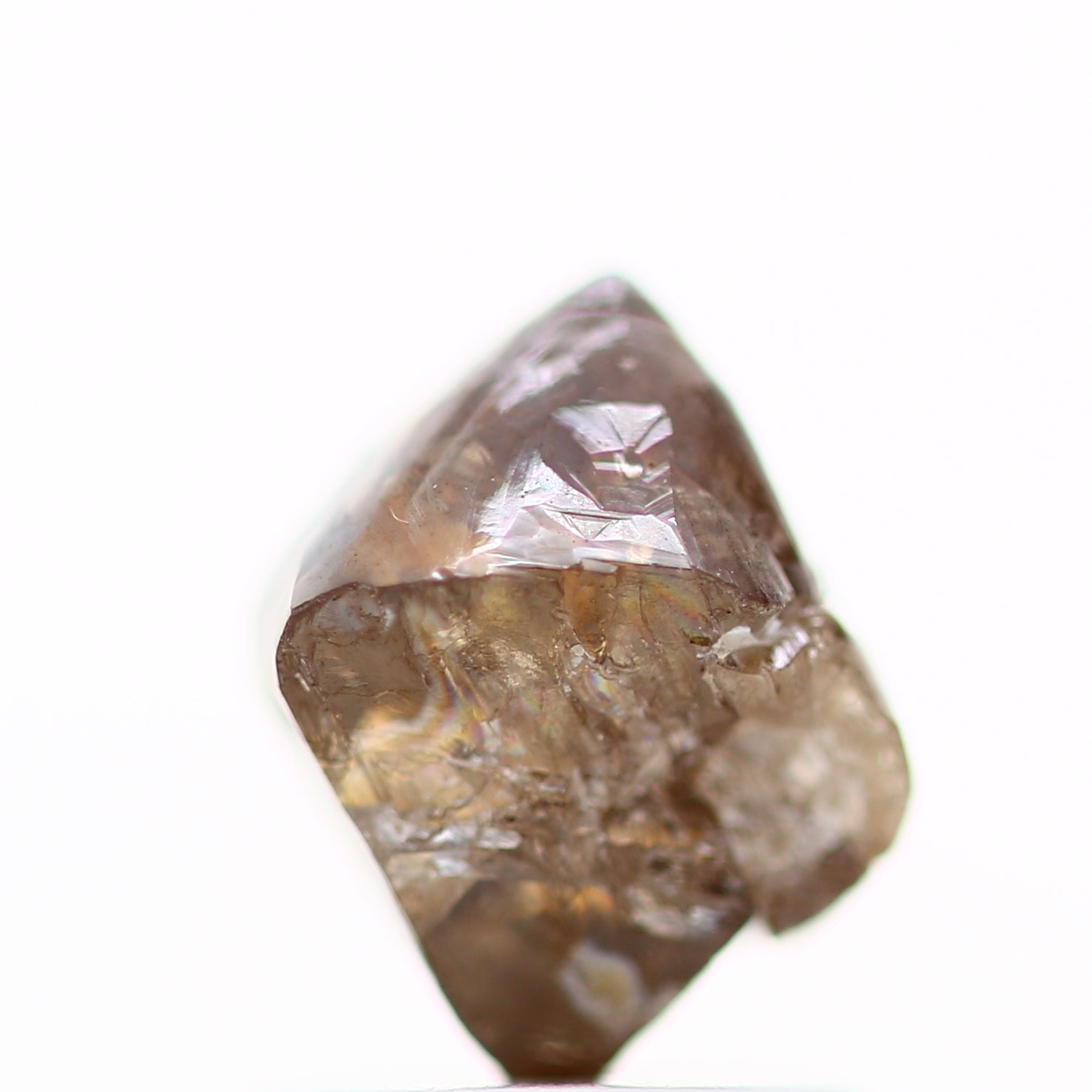 ClariOLED Transparent OLED Display price