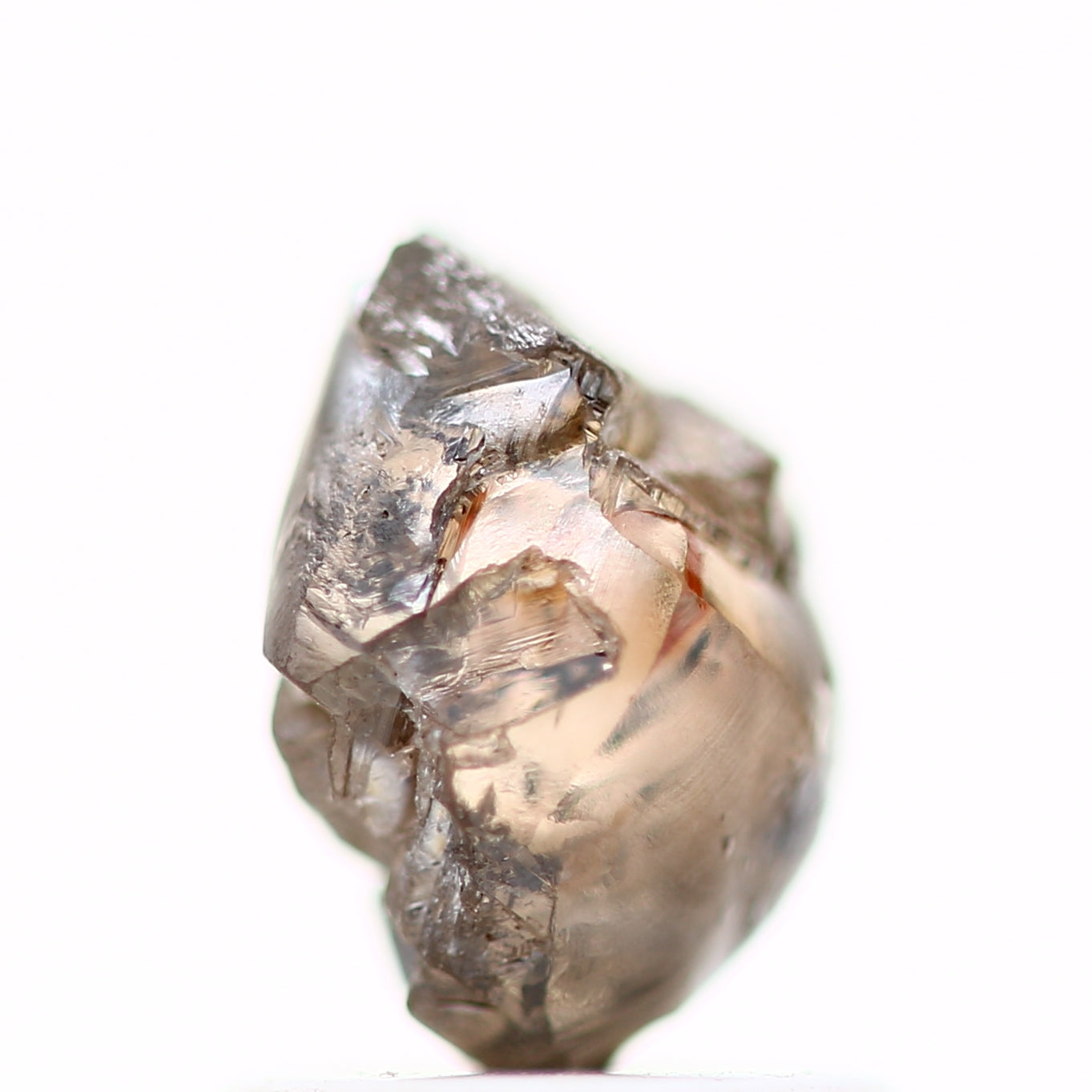 ClariOLED Transparent OLED Display price