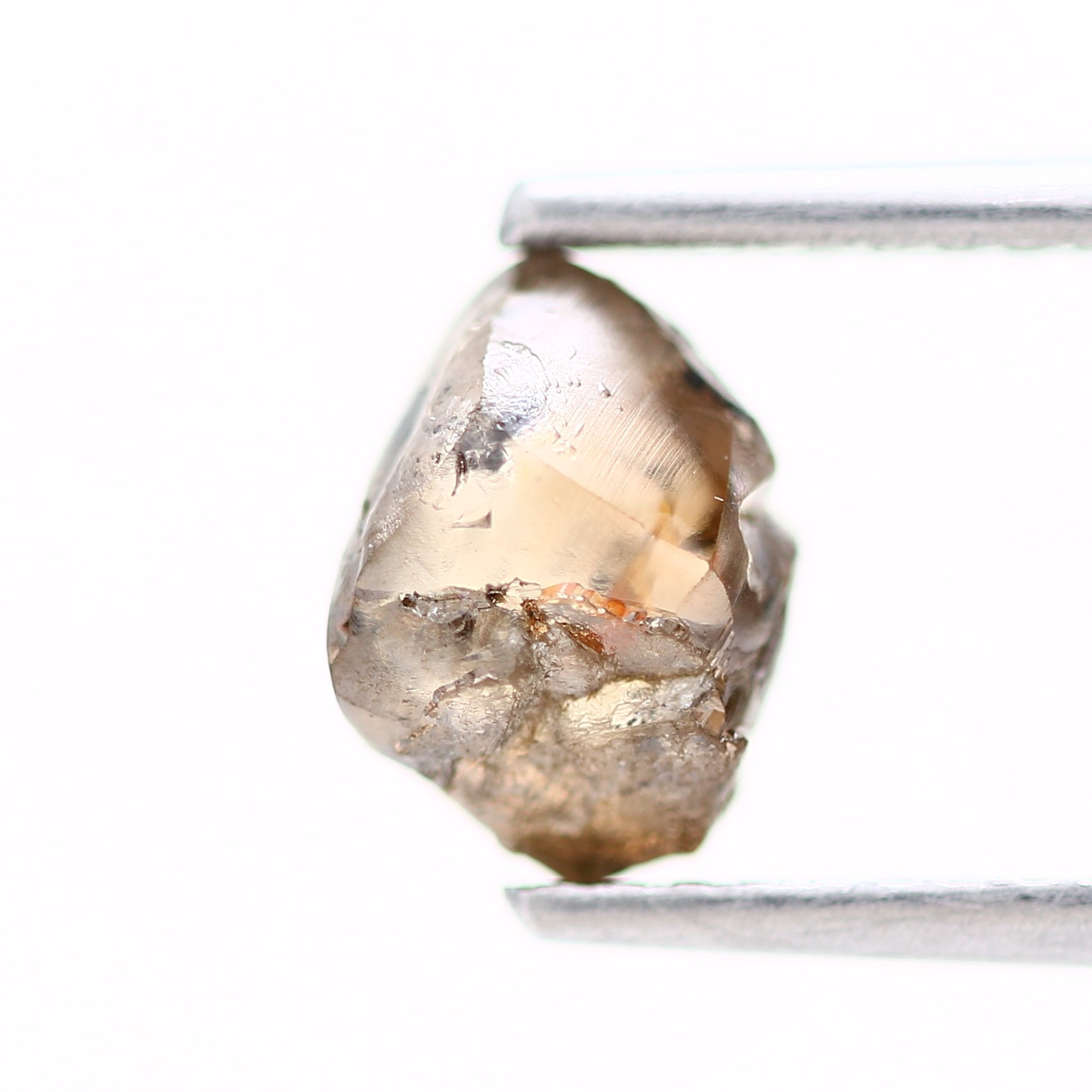 ClariOLED Transparent OLED Display price