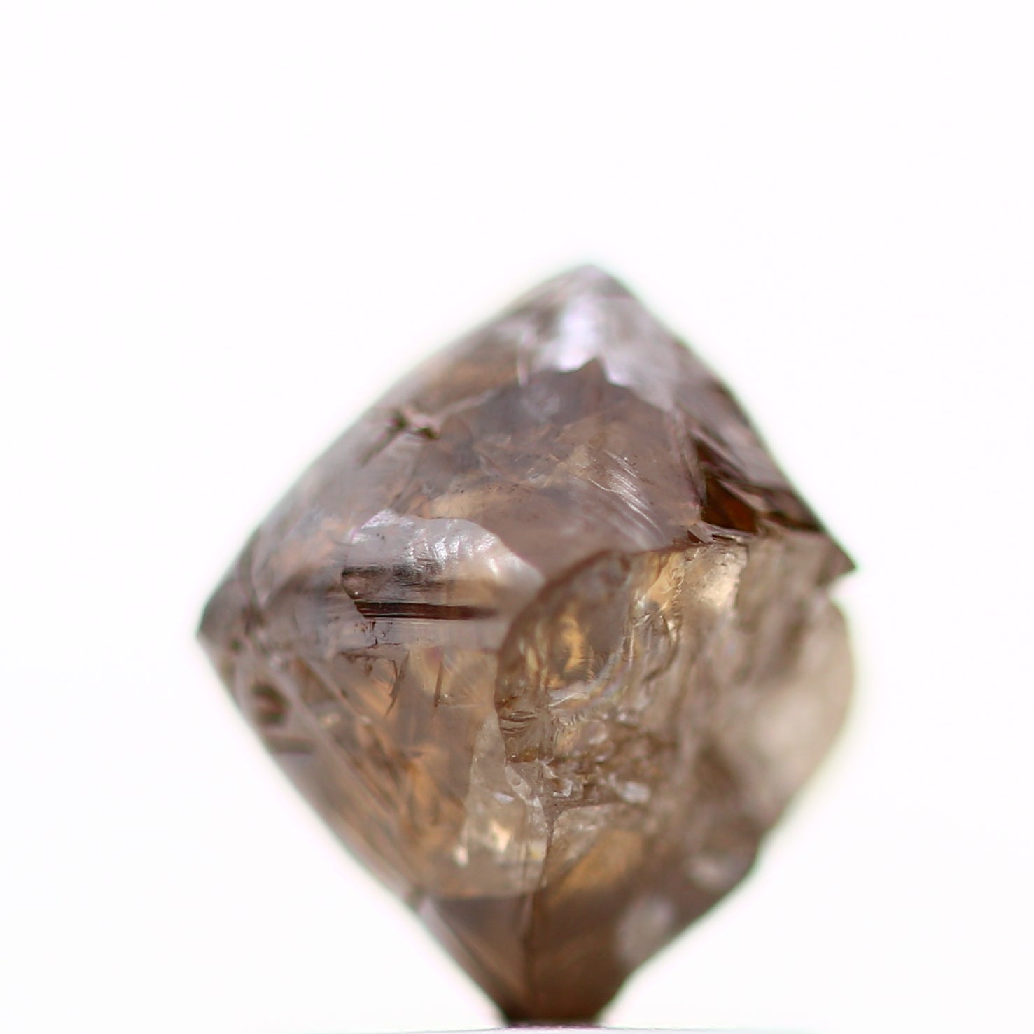 ClariOLED Transparent OLED Display price