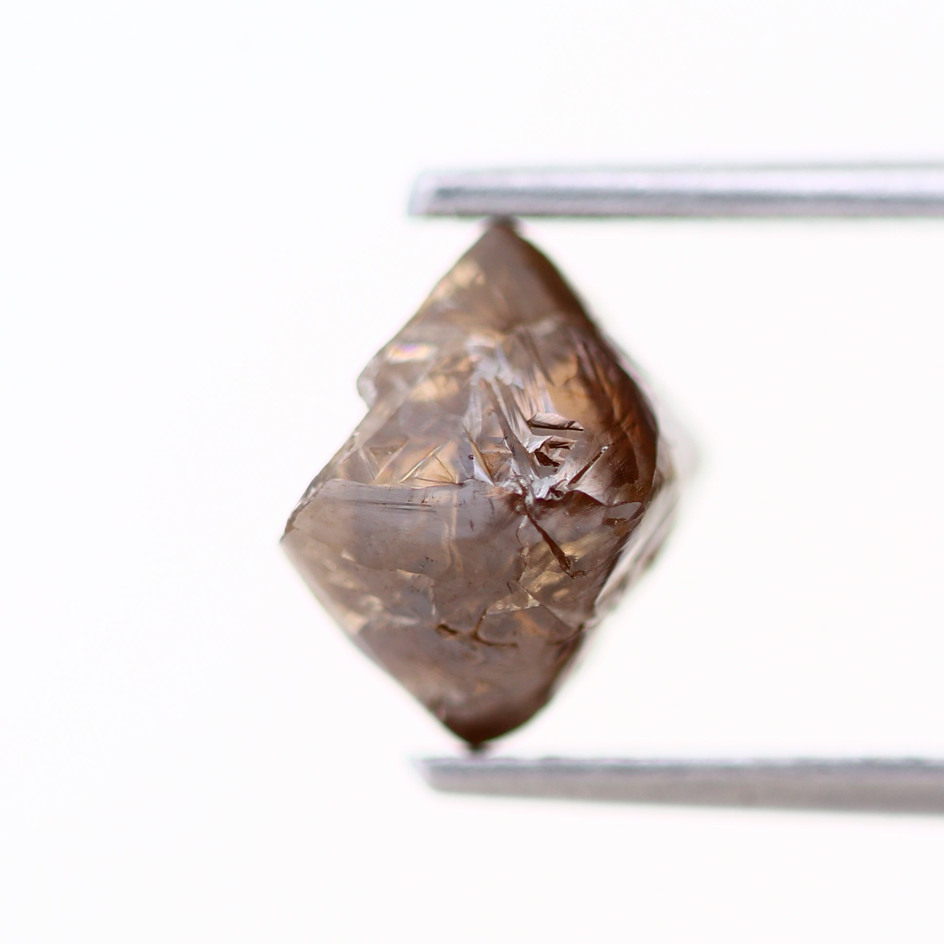 ClariOLED Transparent OLED Display price